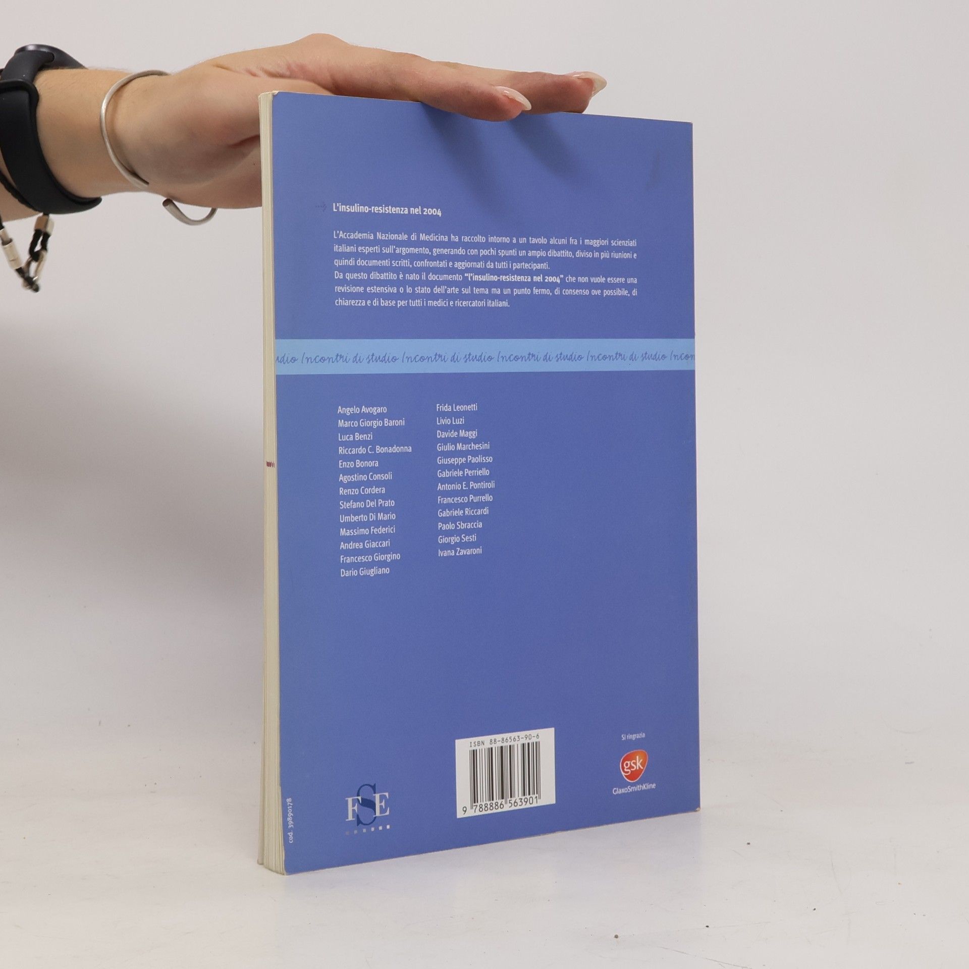 Autorenkollektiv L'insulino-resistenza nel 2004