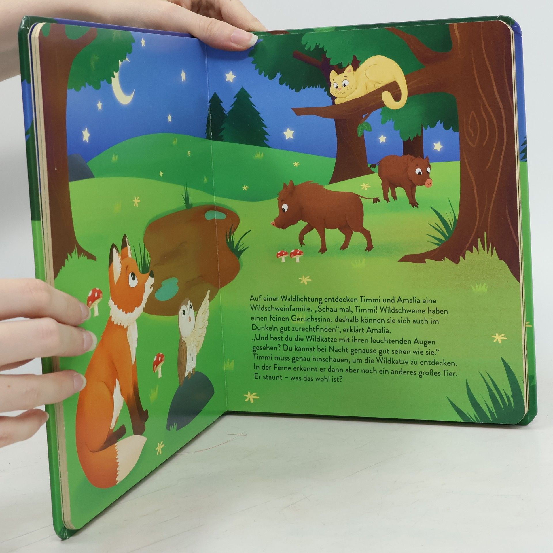 Autores varios Mit Timmi Fuchs bei Nacht im Wald