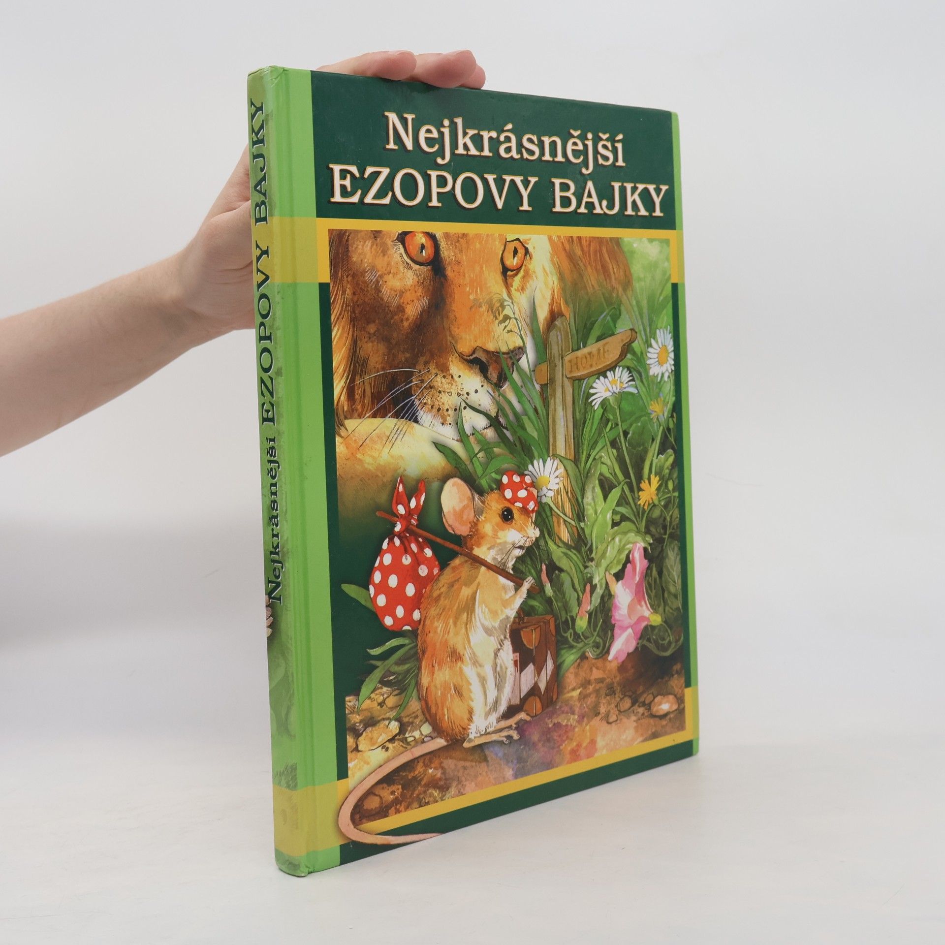 Collectif d'auteurs Nejkrásnější Ezopovy bajky
