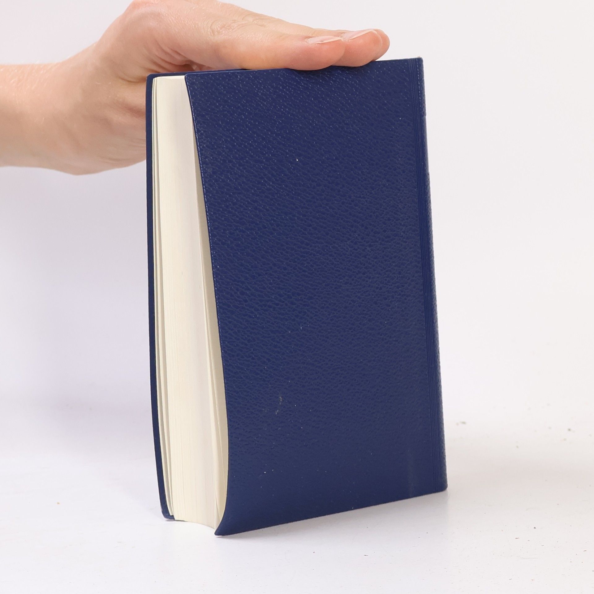 Collectif d'auteurs Biblí svatá, aneb všecka svatá písma Starého i Nového zákona