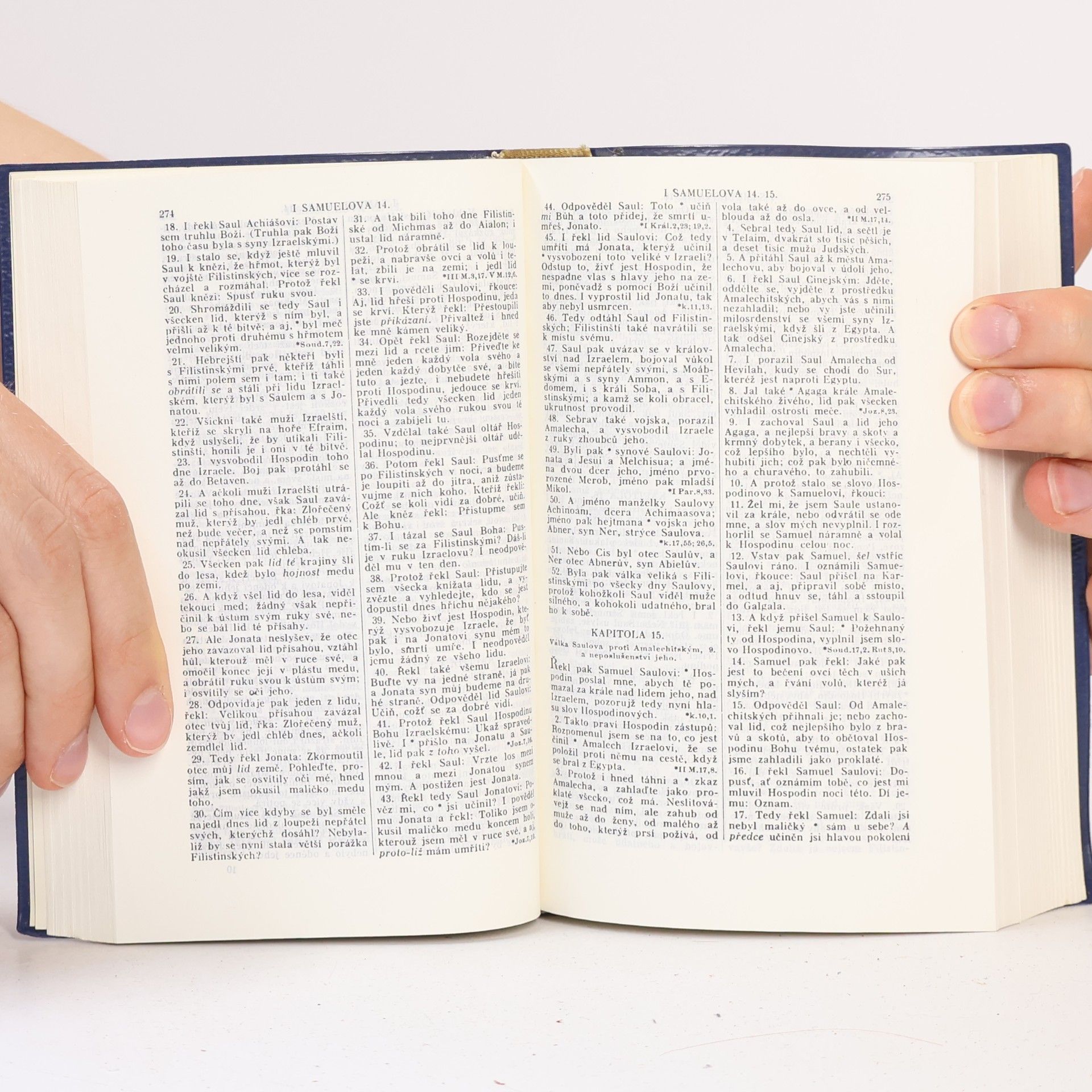 Collectif d'auteurs Biblí svatá, aneb všecka svatá písma Starého i Nového zákona