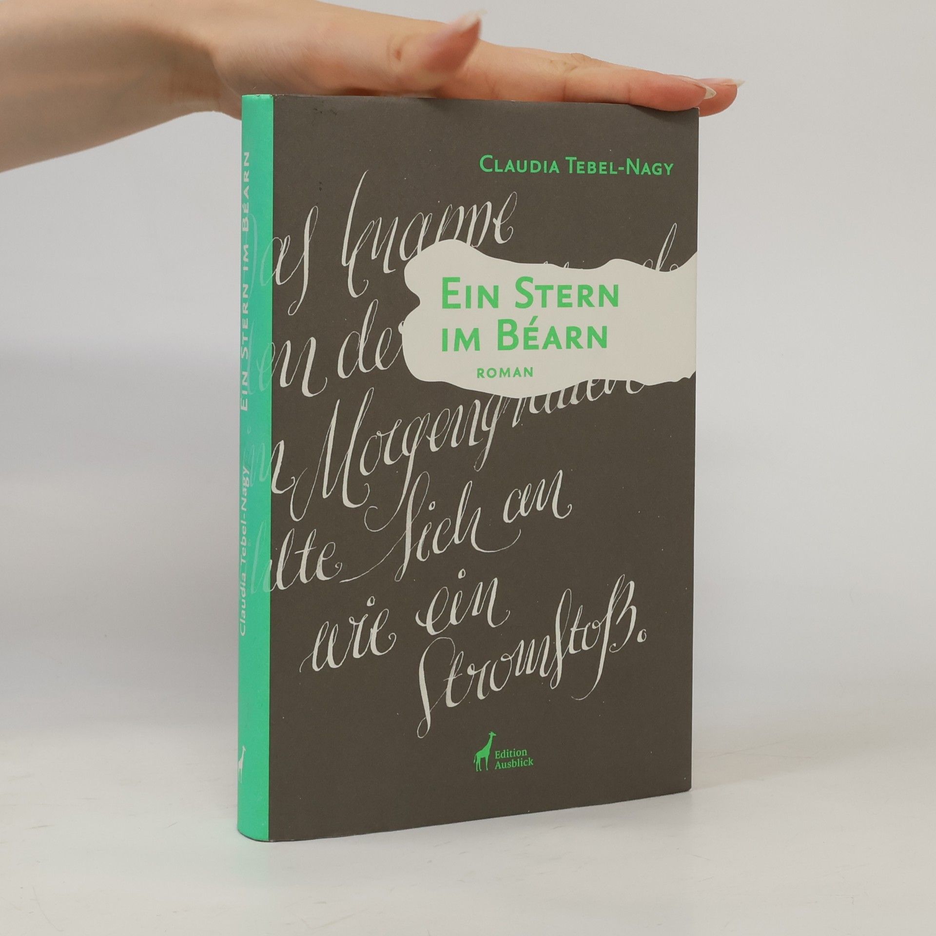 Claudia Tebel Nagy Ein Stern im Béarn