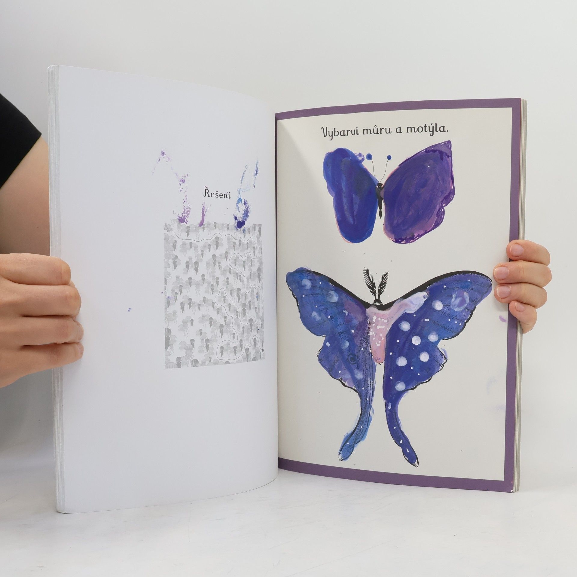 Katie Scott Animalium. Kniha her