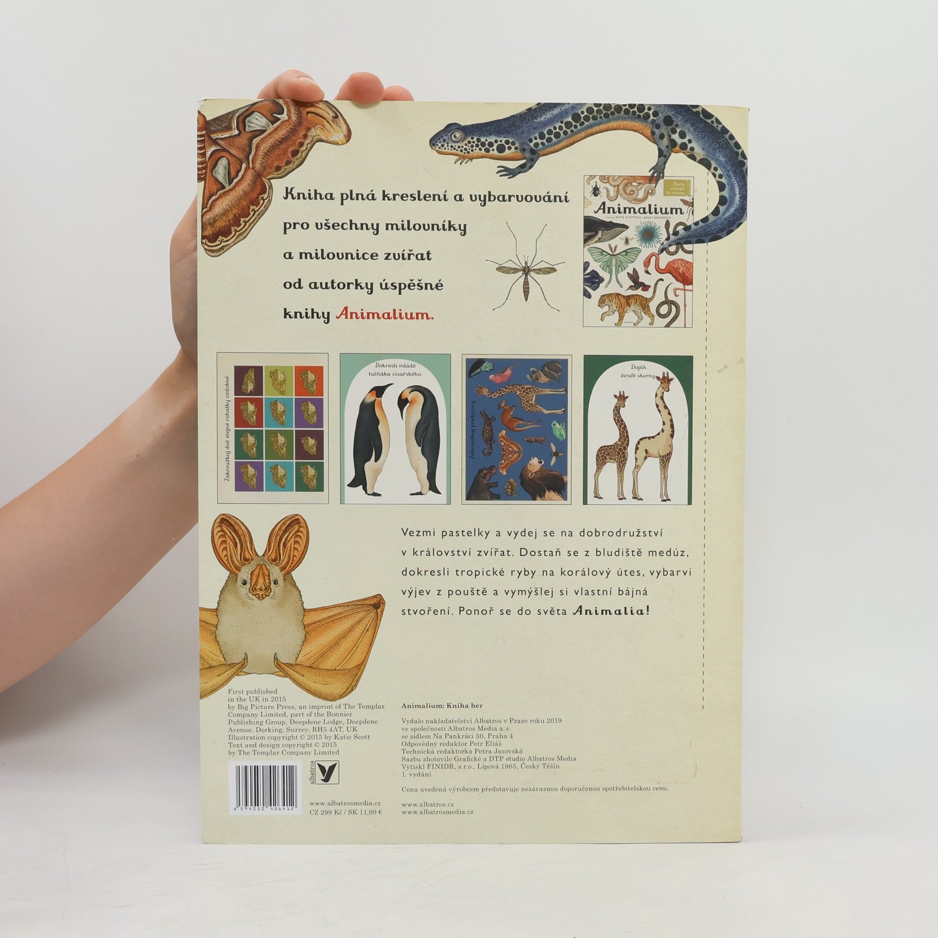 Katie Scott Animalium. Kniha her