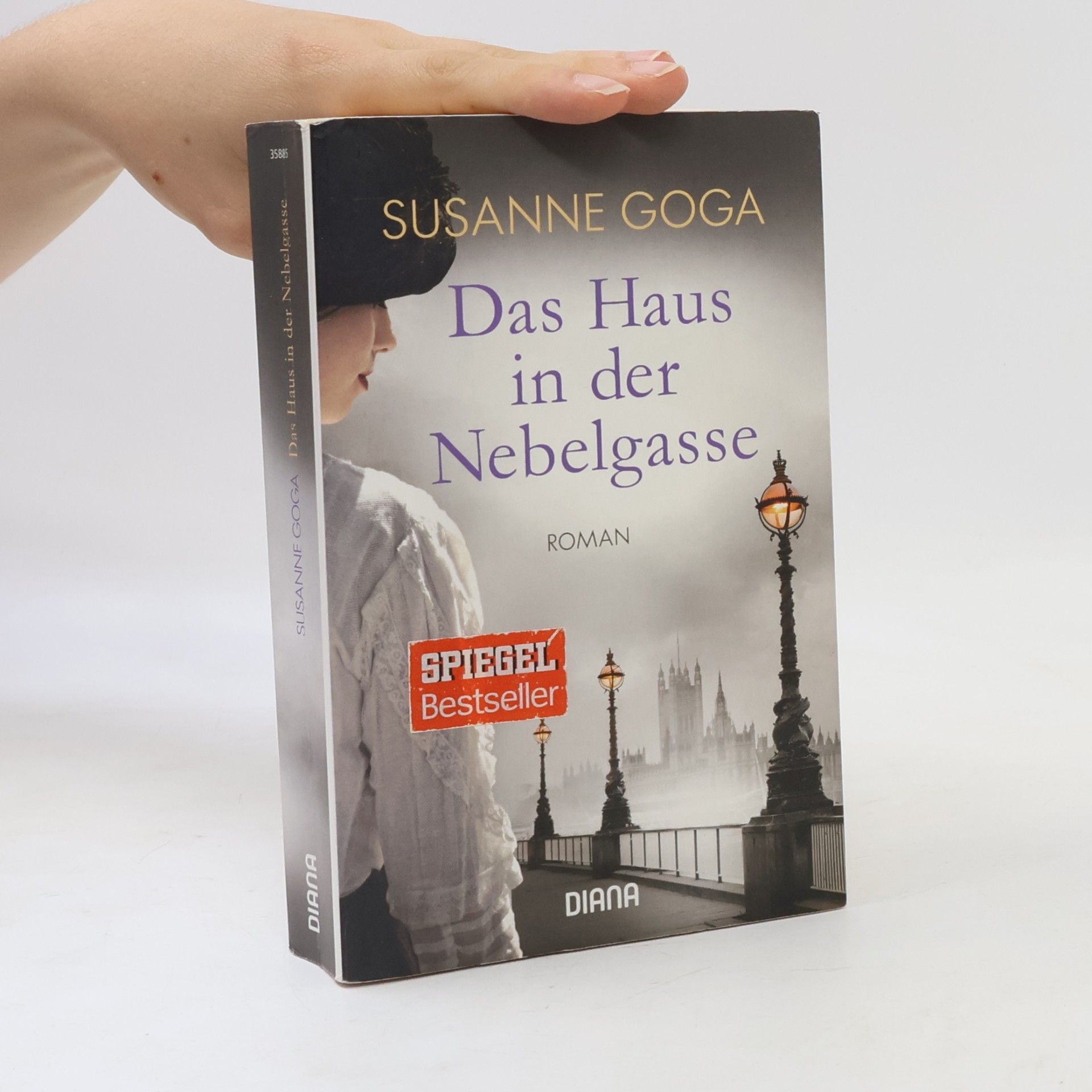 Susanne Goga Das Haus in der Nebelgasse