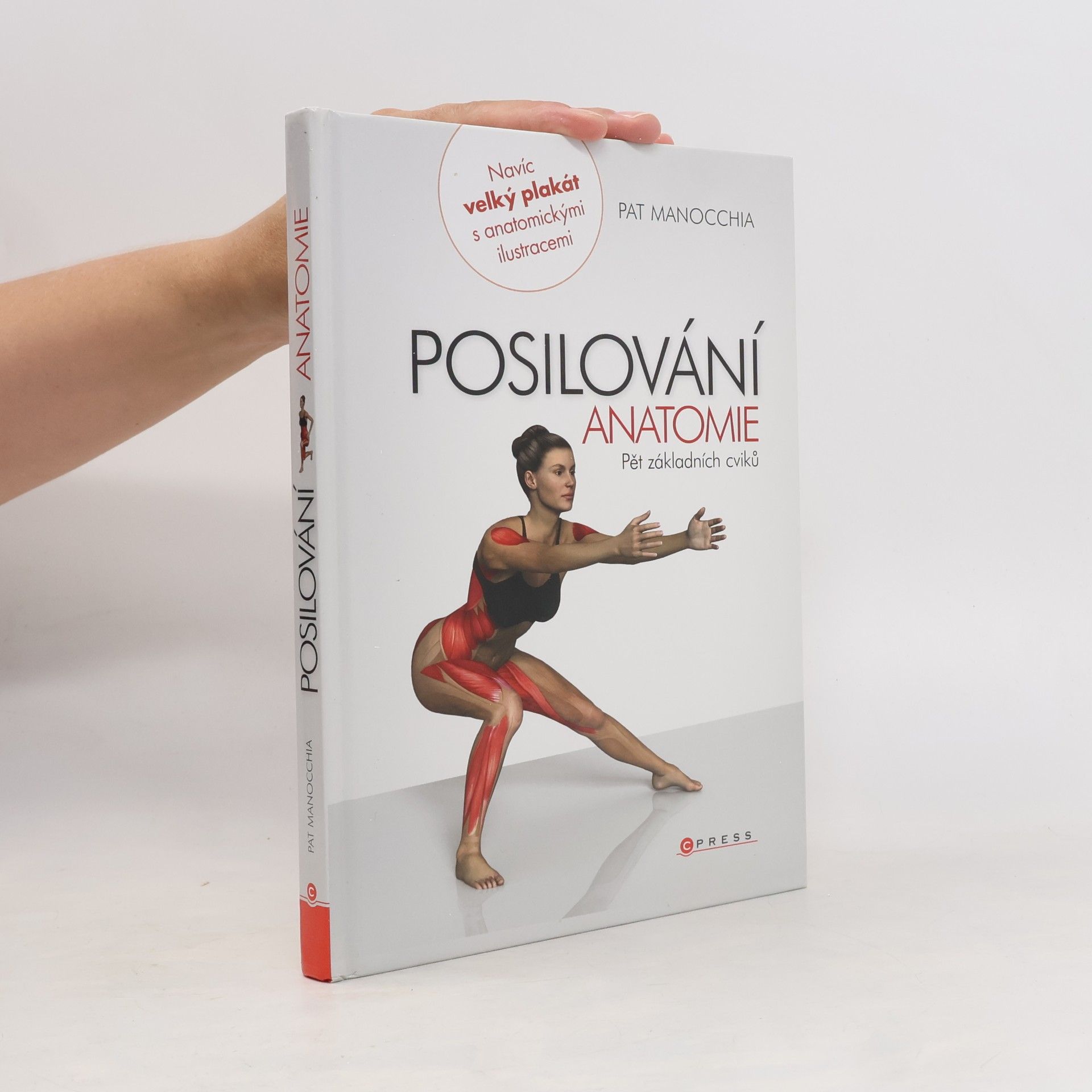 Pat Manocchia Posilování - anatomie. Pět základních cviků