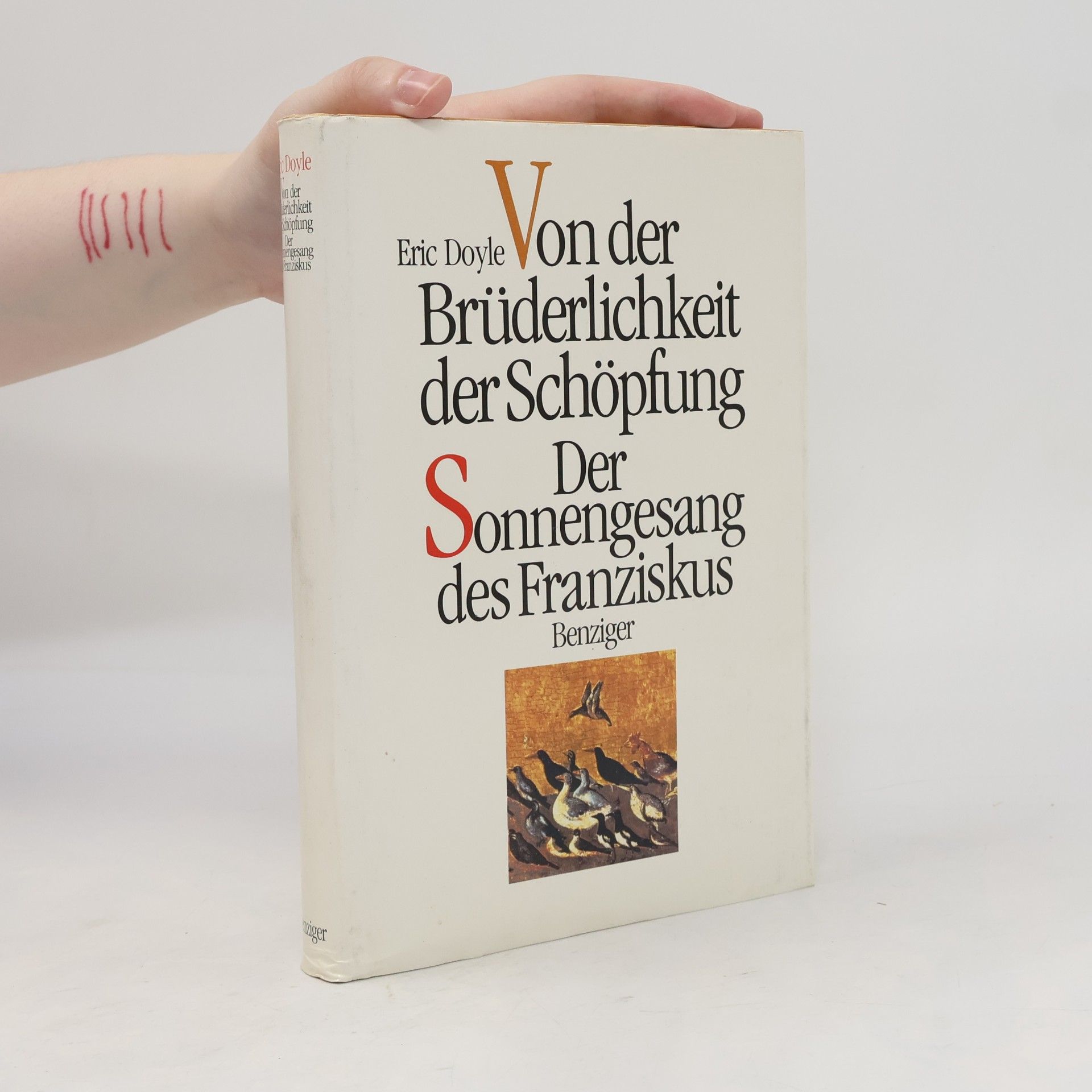Eric Doyle Von der Brüderlichkeit der Schöpfung. Der Sonnengesang des Franziskus