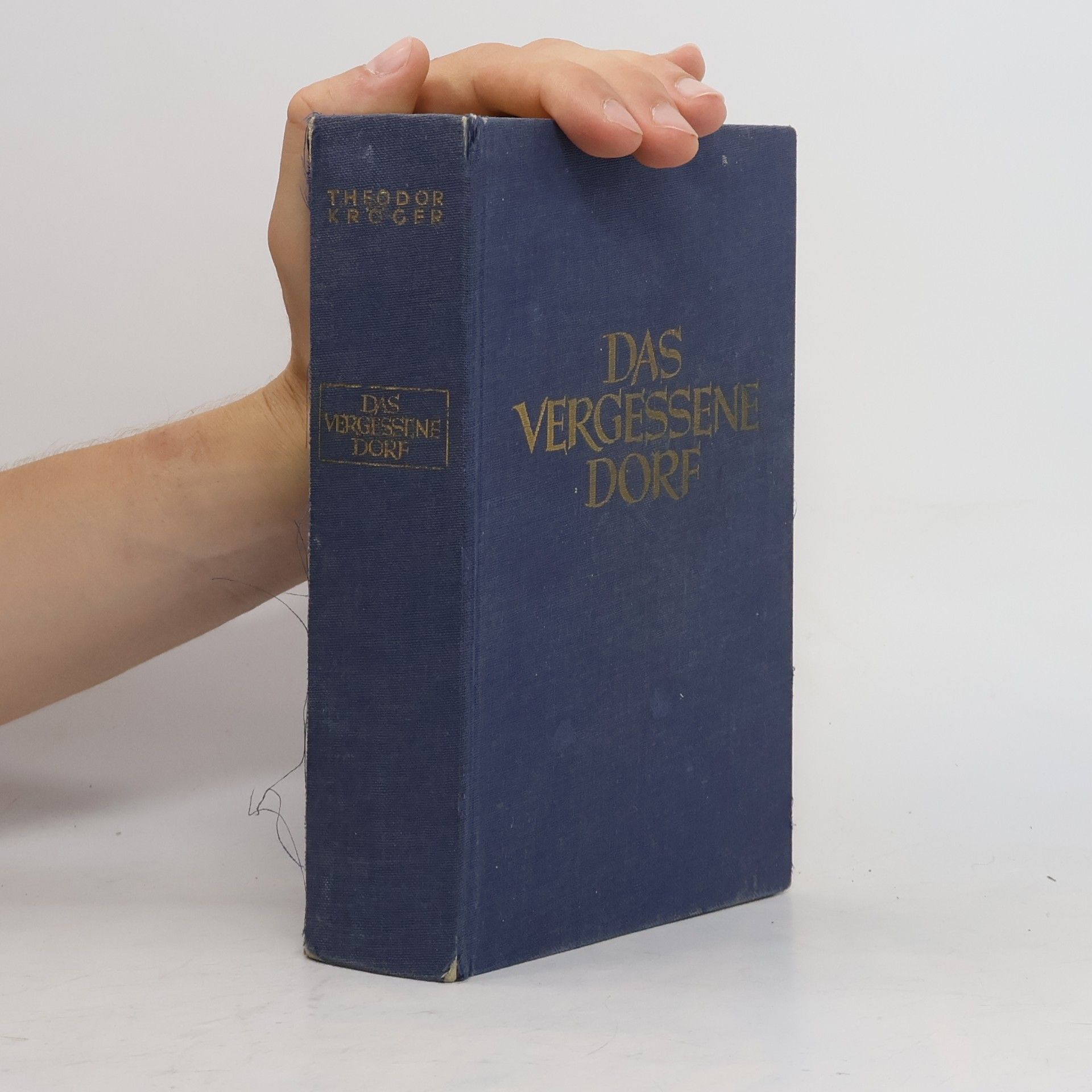 Theodor Kröger Das Vergessene Dorf
