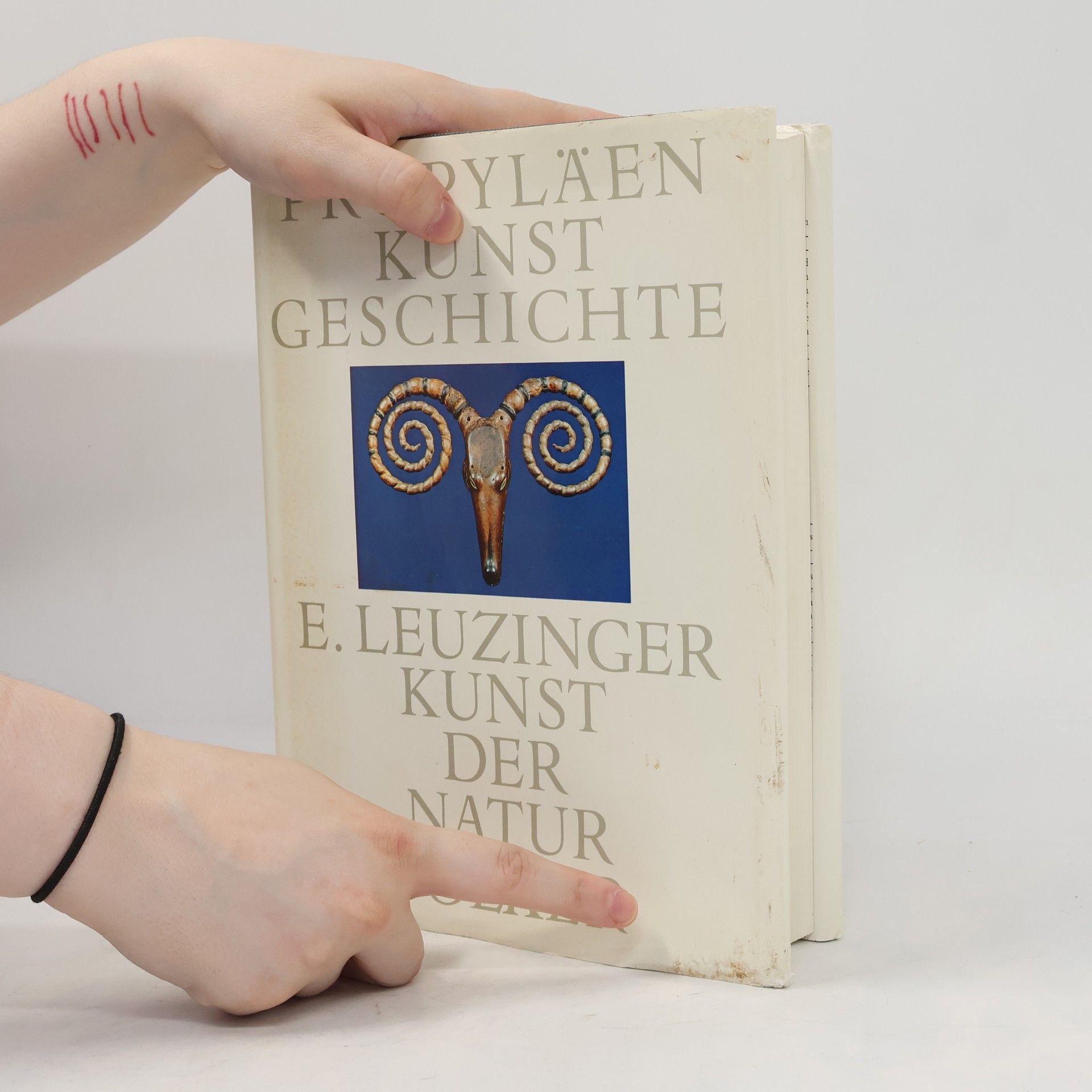 E. Leuzinger Propyläen Kunstgeschichte. Kunst der Naturvölker
