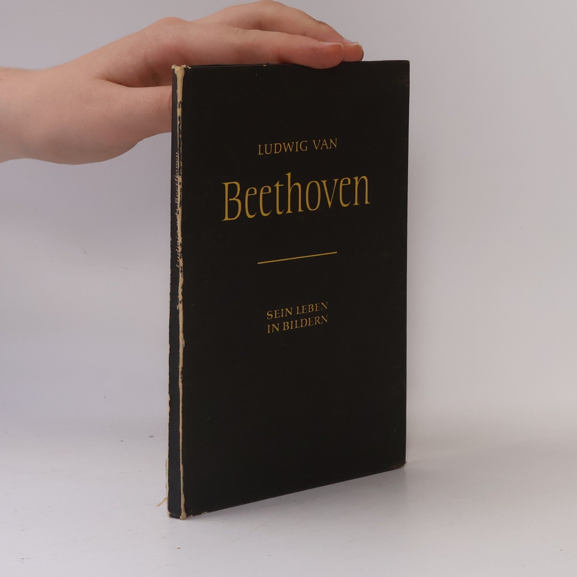 Ludwig van Beethoven Ludwig van Beethoven. Sein Leben in Bildern