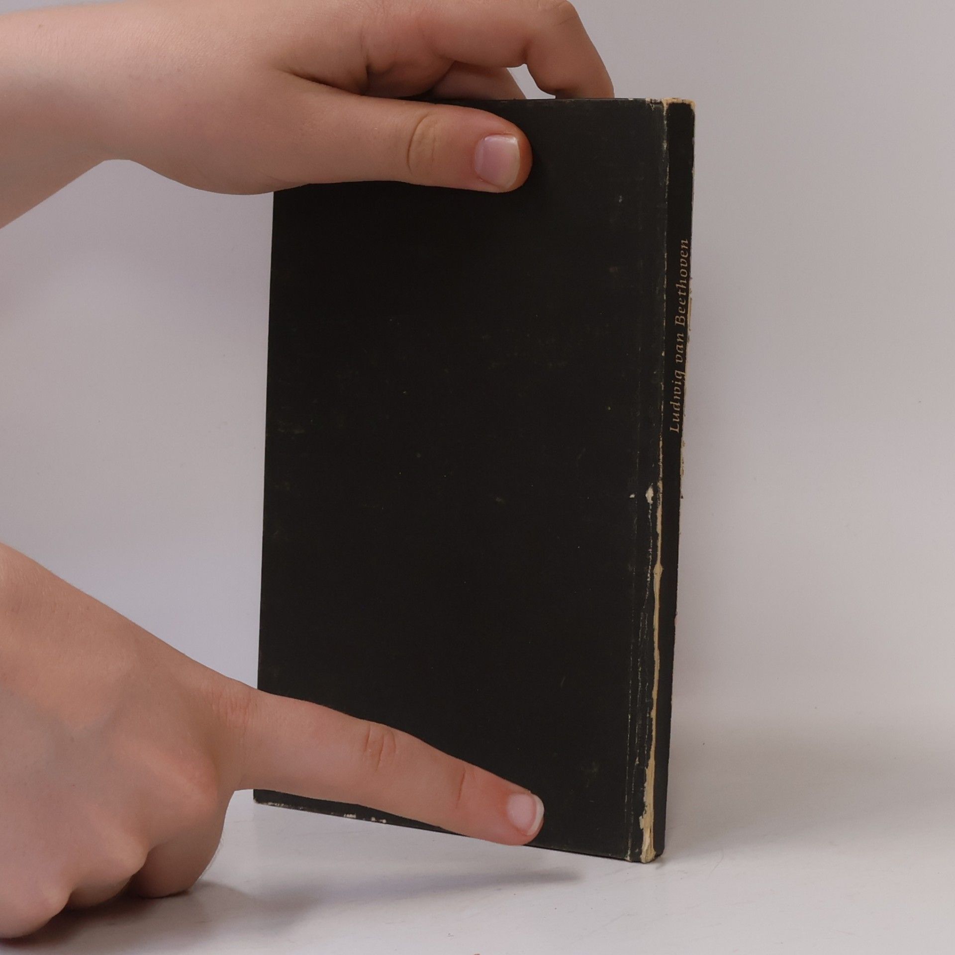 Ludwig van Beethoven Ludwig van Beethoven. Sein Leben in Bildern