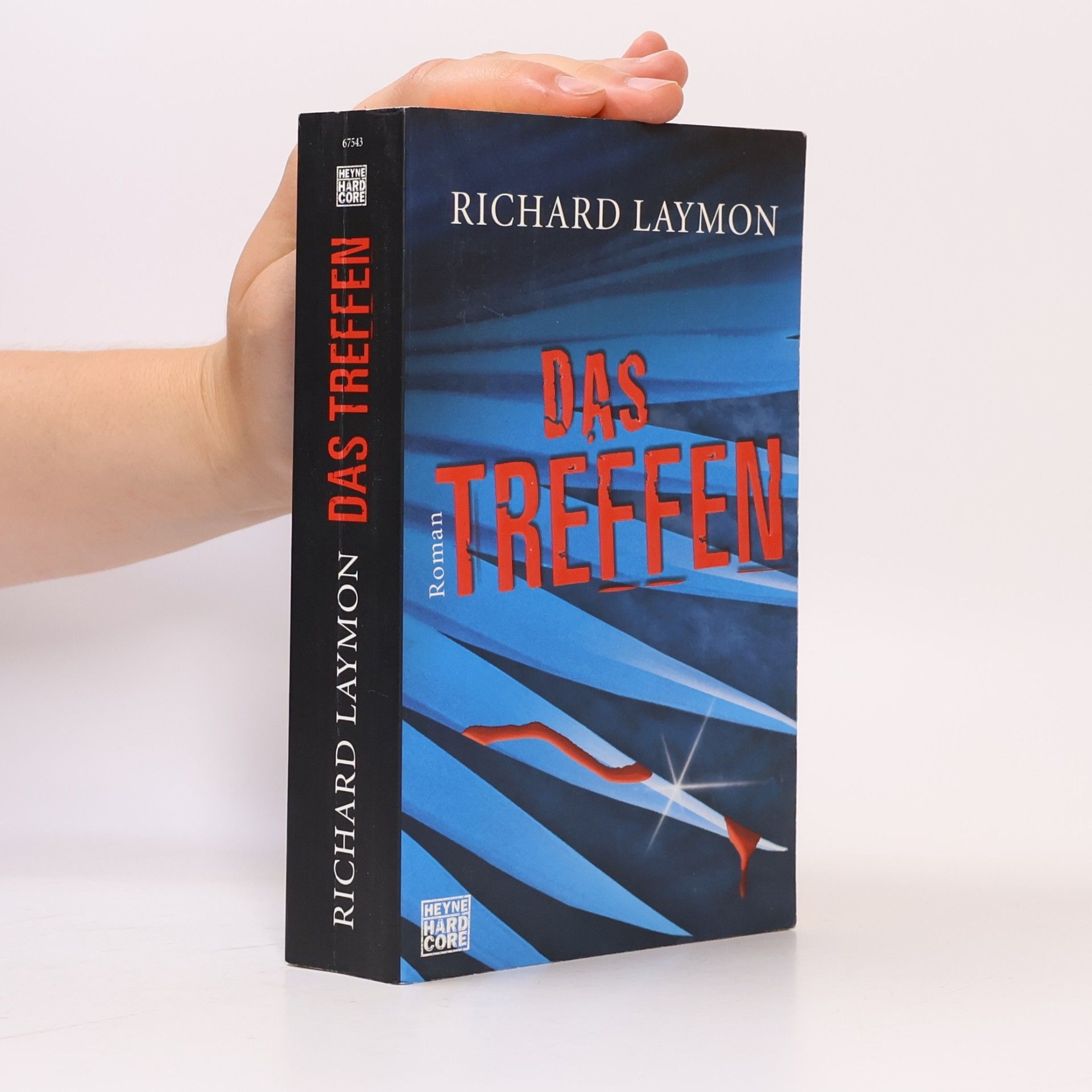 Richard Laymon Das Treffen