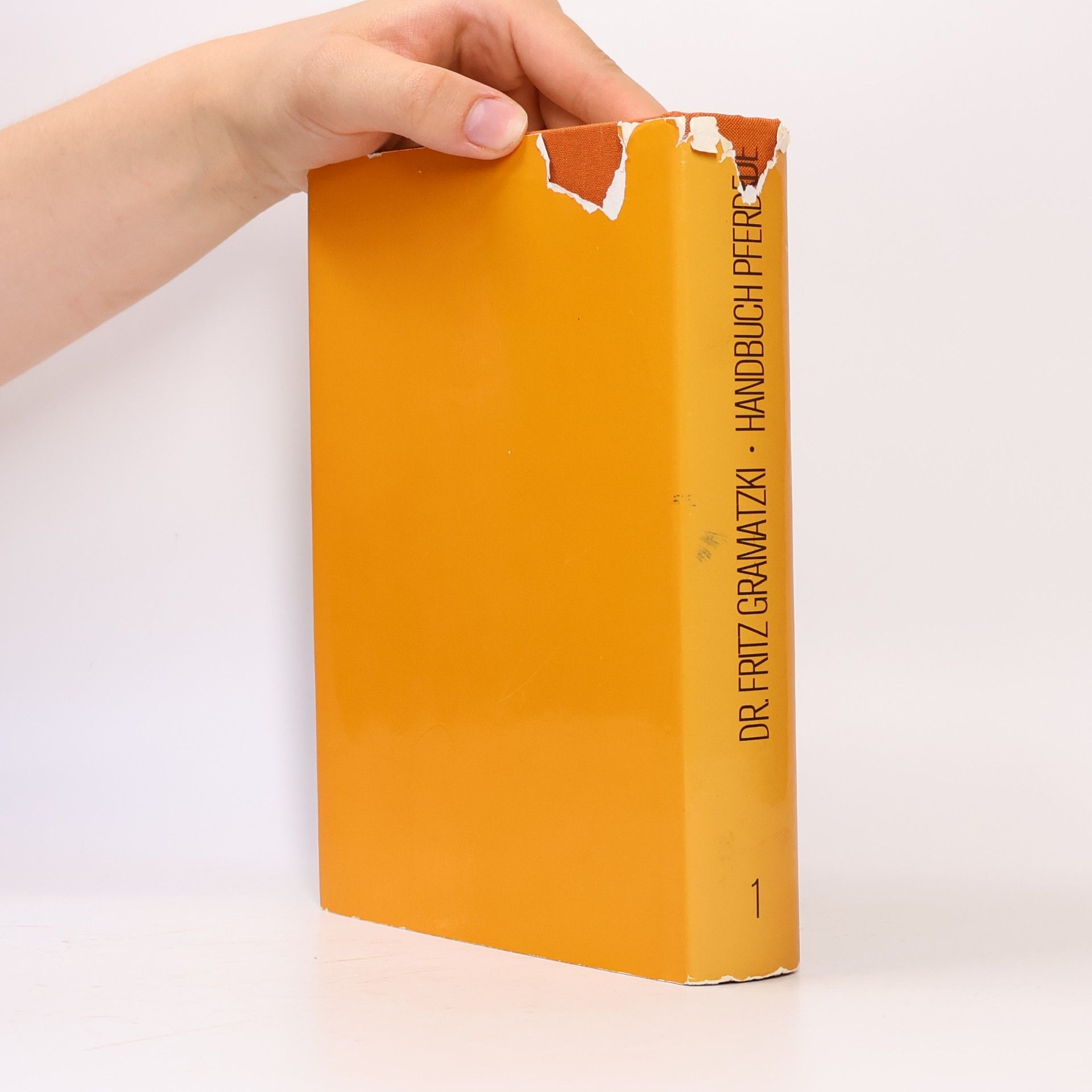 Fritz Gramatzki Handbuch Pferde