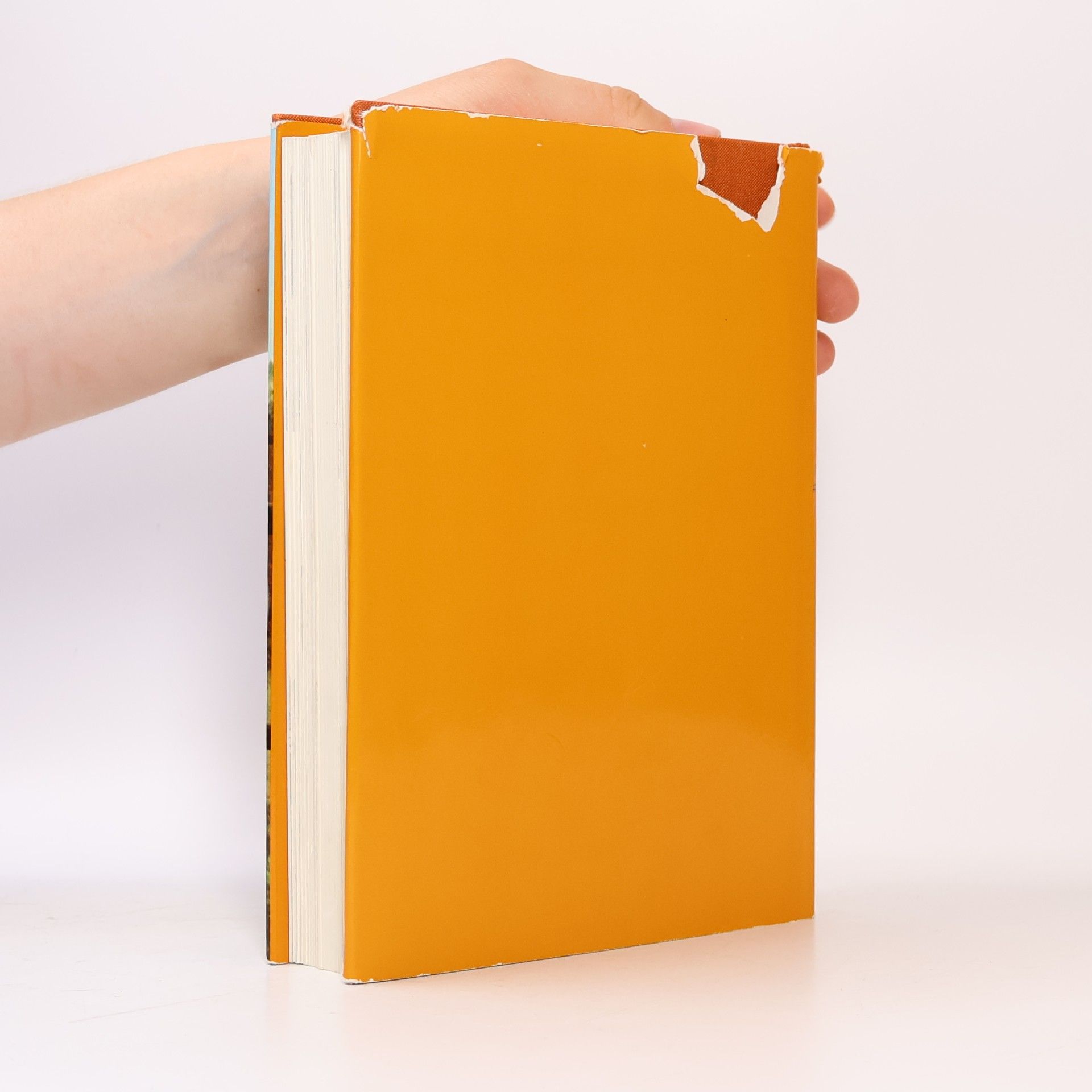 Fritz Gramatzki Handbuch Pferde
