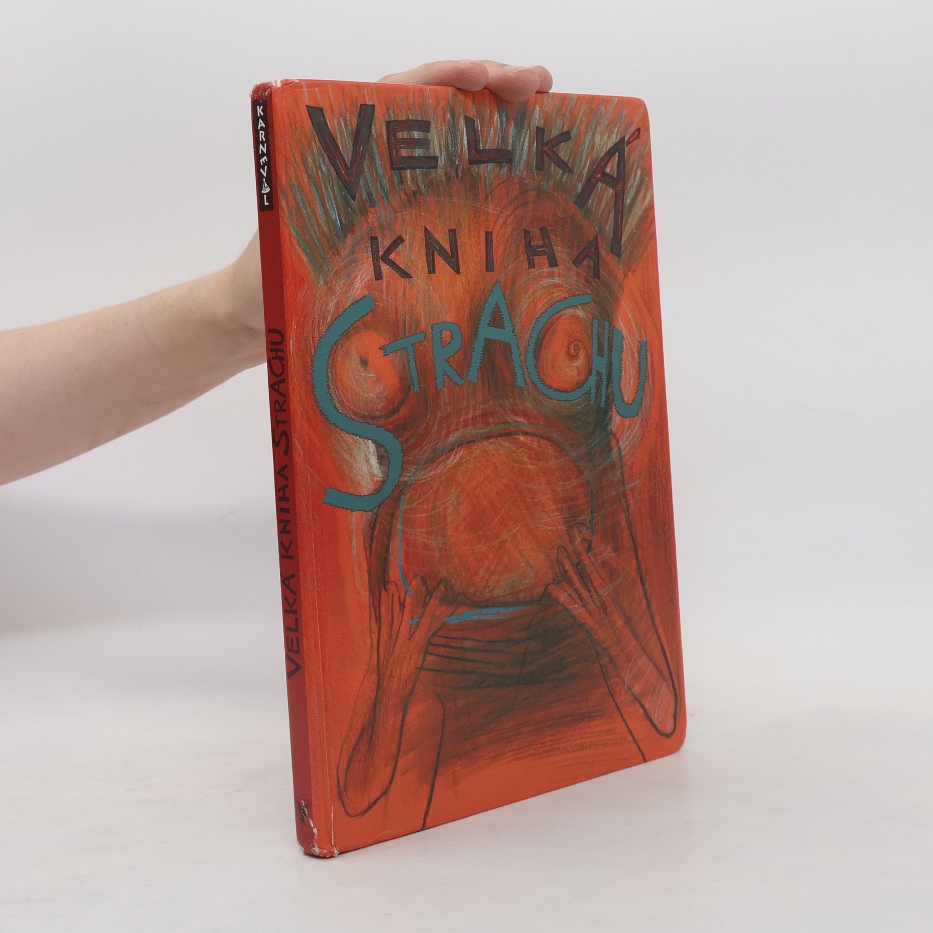 Veronika Bohatá Velká kniha strachu