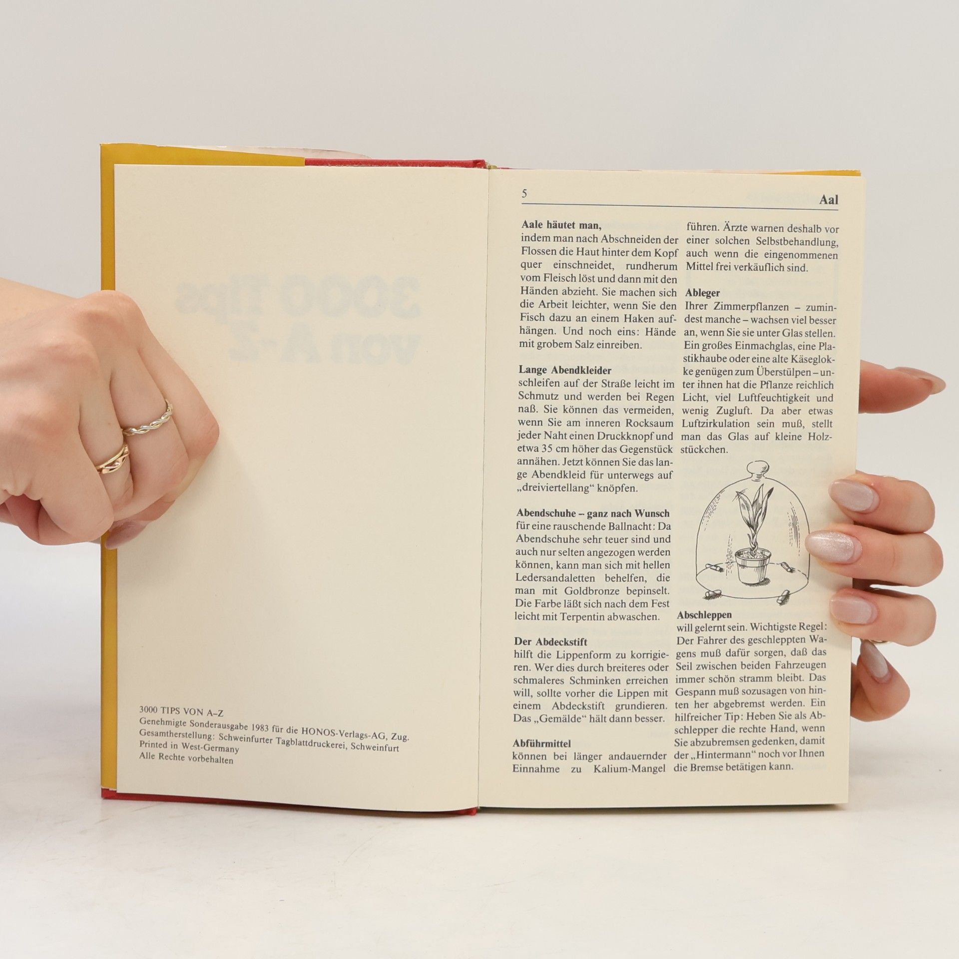 Autorenkollektiv Rat & Tat. 3000 Tips von A bis Z