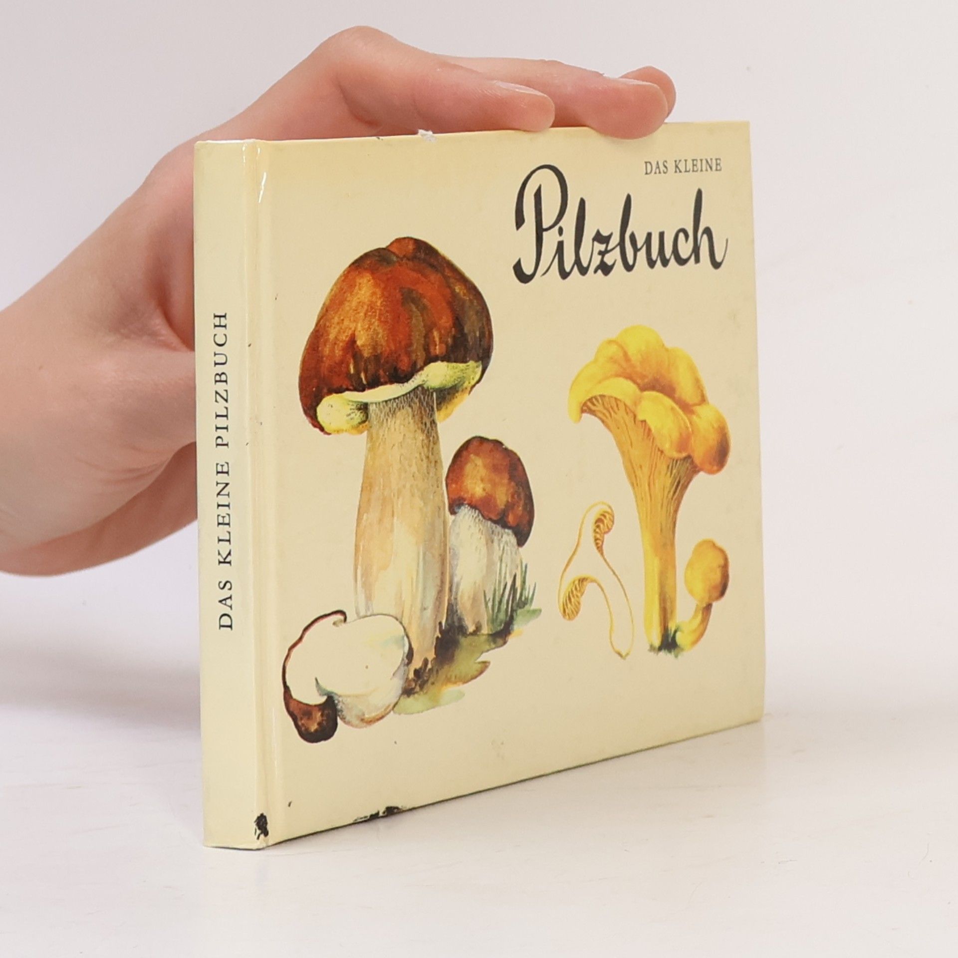 Autorenkollektiv Das kleine Pilzbuch