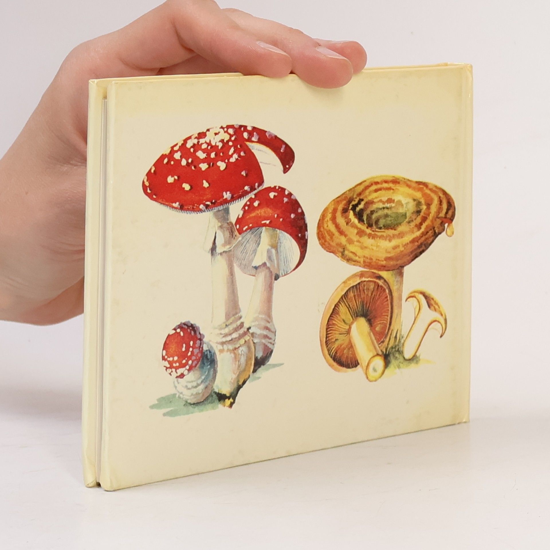 Kolektiv autorů Das kleine Pilzbuch