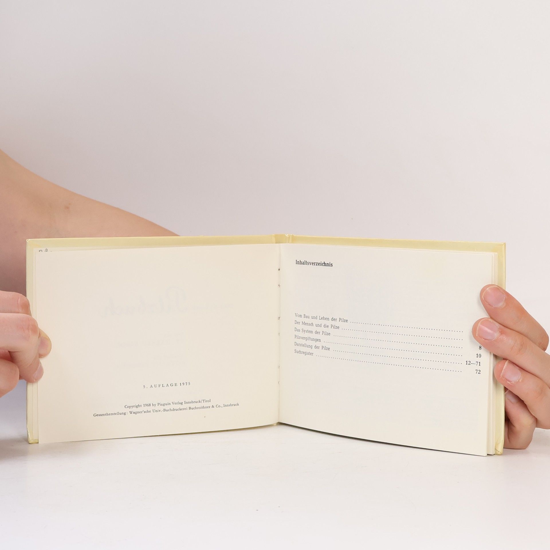Kolektiv autorů Das kleine Pilzbuch