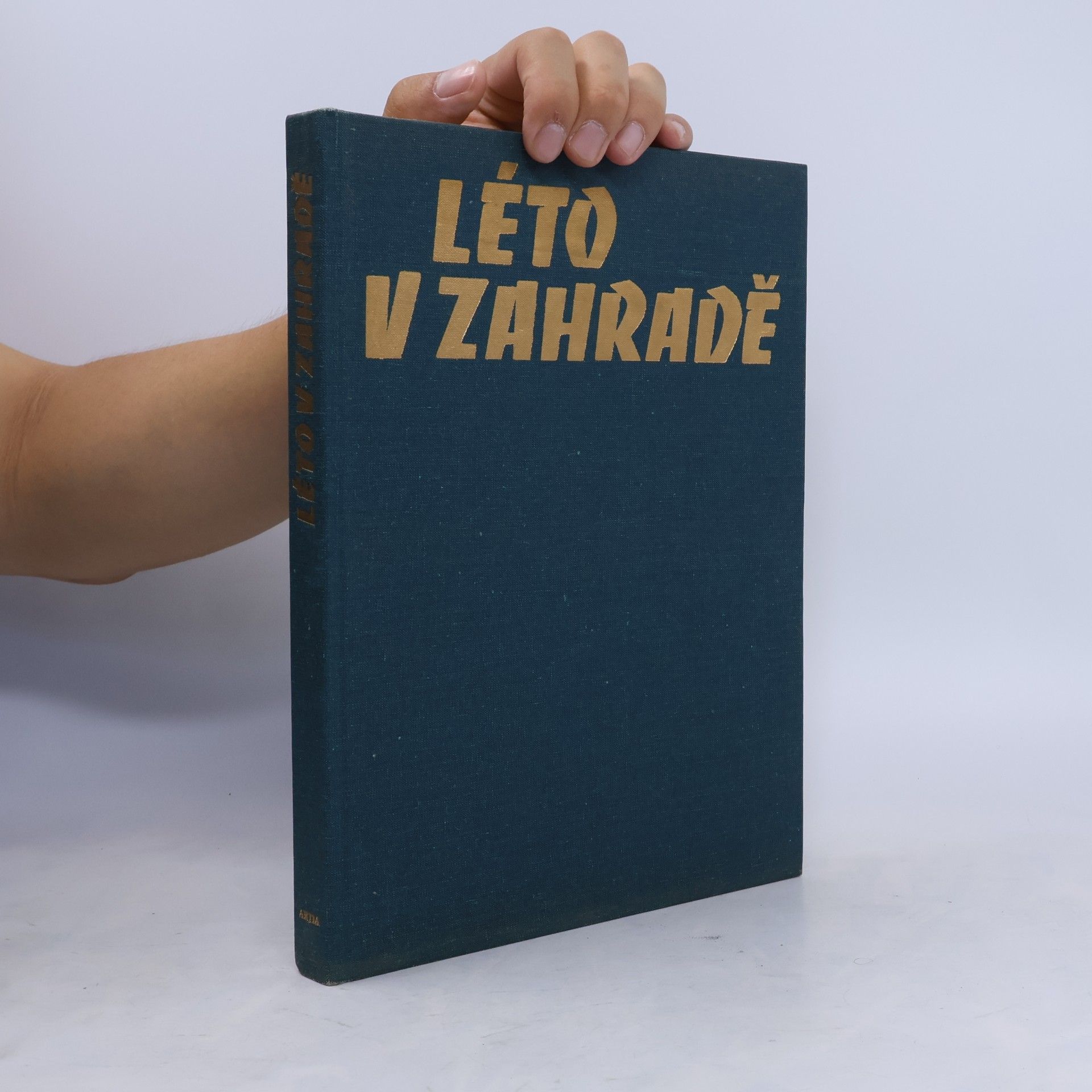 Jan Tykač Léto v zahradě