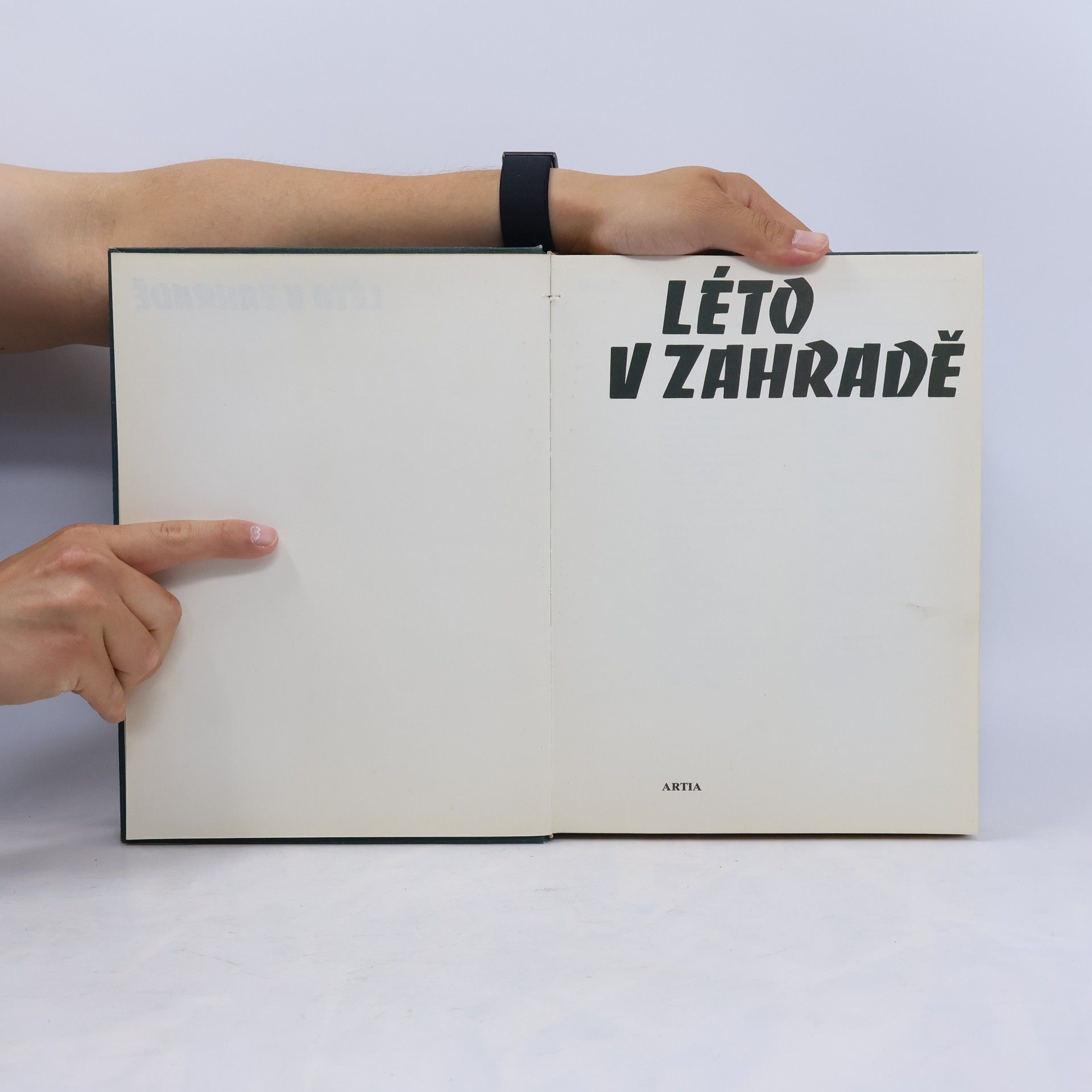Jan Tykač Léto v zahradě