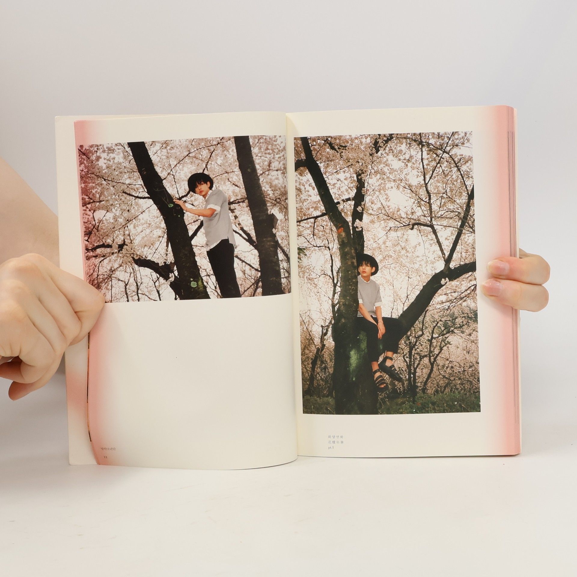 Autores varios 화양연화 花樣年華 pt.1