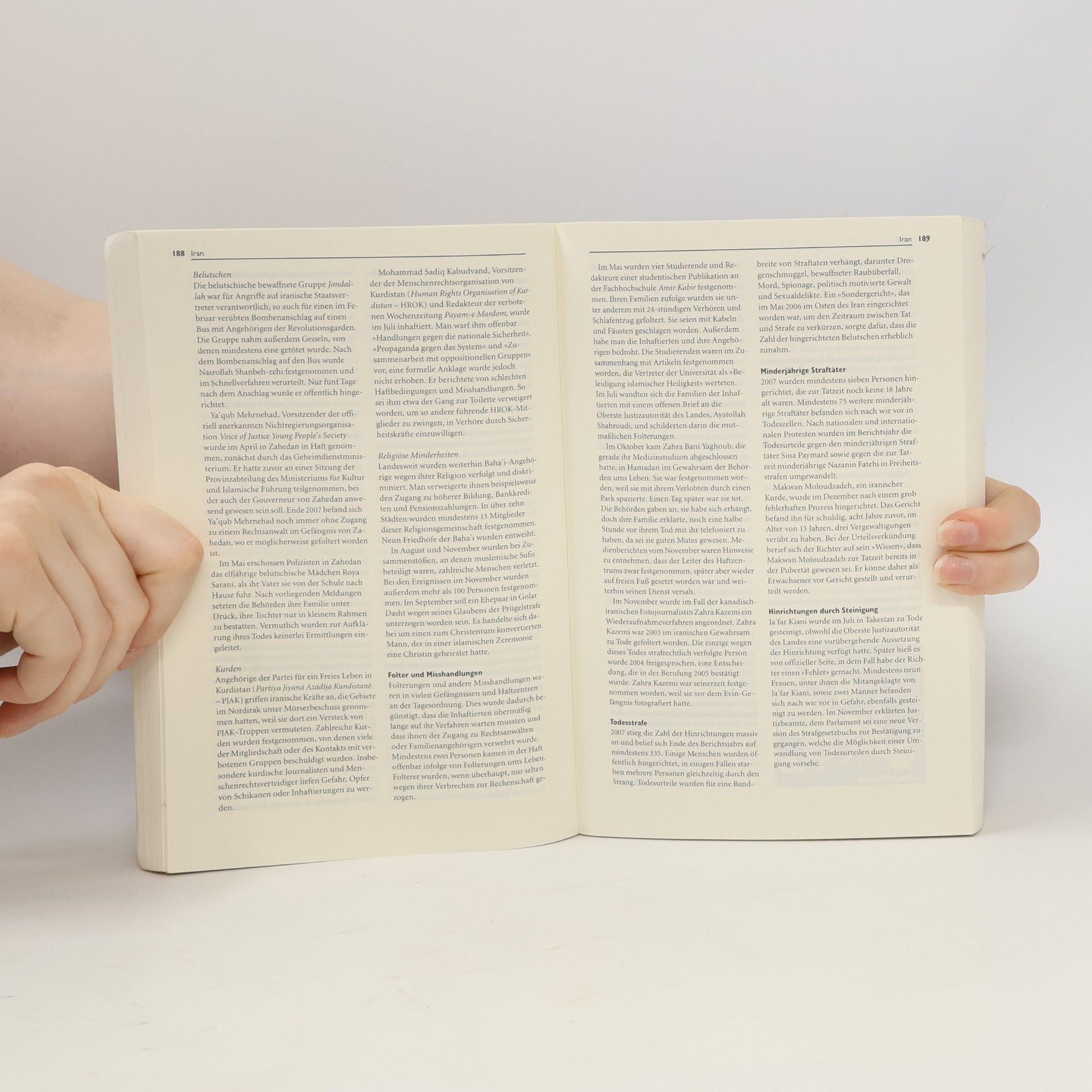 Autorenkollektiv Amnesty International Report 2008. Zur weltweiten Lage der Menschenrechte