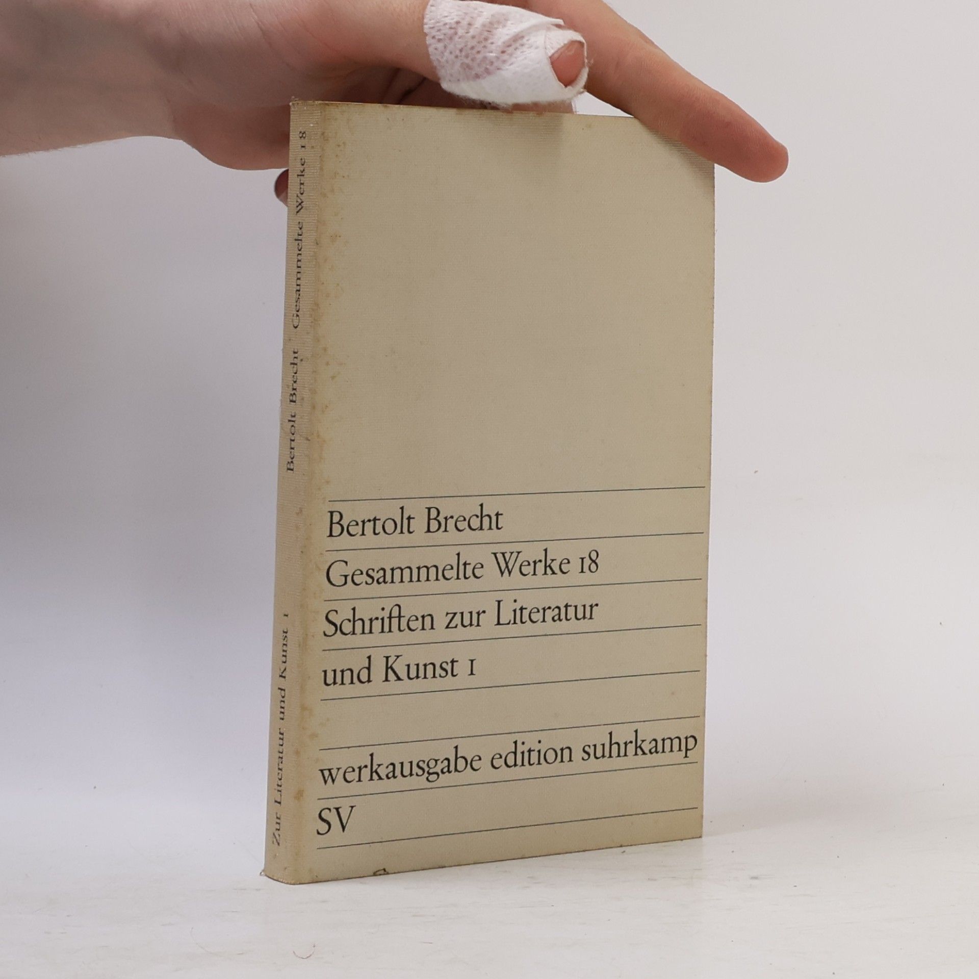 Bertolt Brecht Gesammelte Werke 18. Schriften zur Literatur und Kunst 1