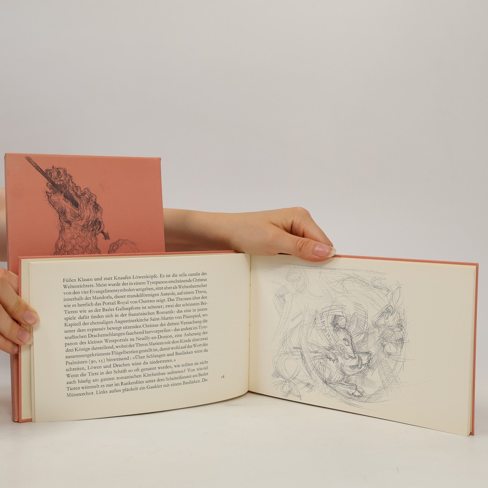 Collectif d'auteurs Basler Münster-Zeichnungen (Nummerierte Ausgabe)