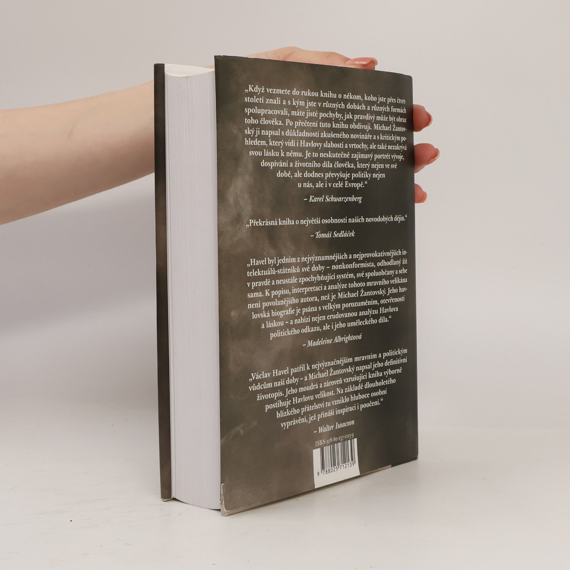 Michael Žantovský Havel