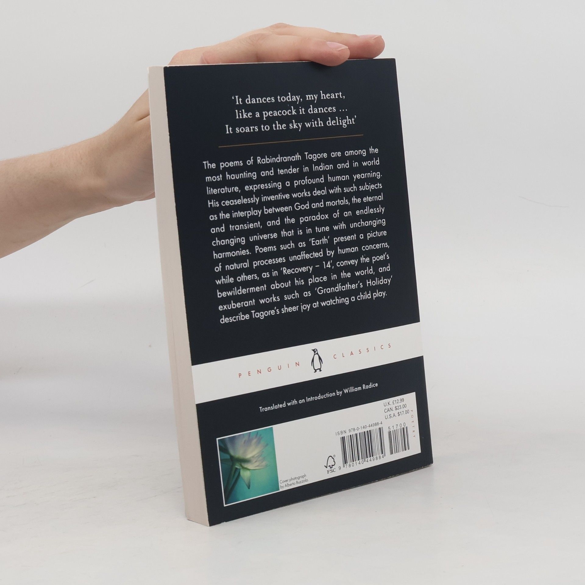 Rabindranath Tagore Penguin Classics: Selected Poems