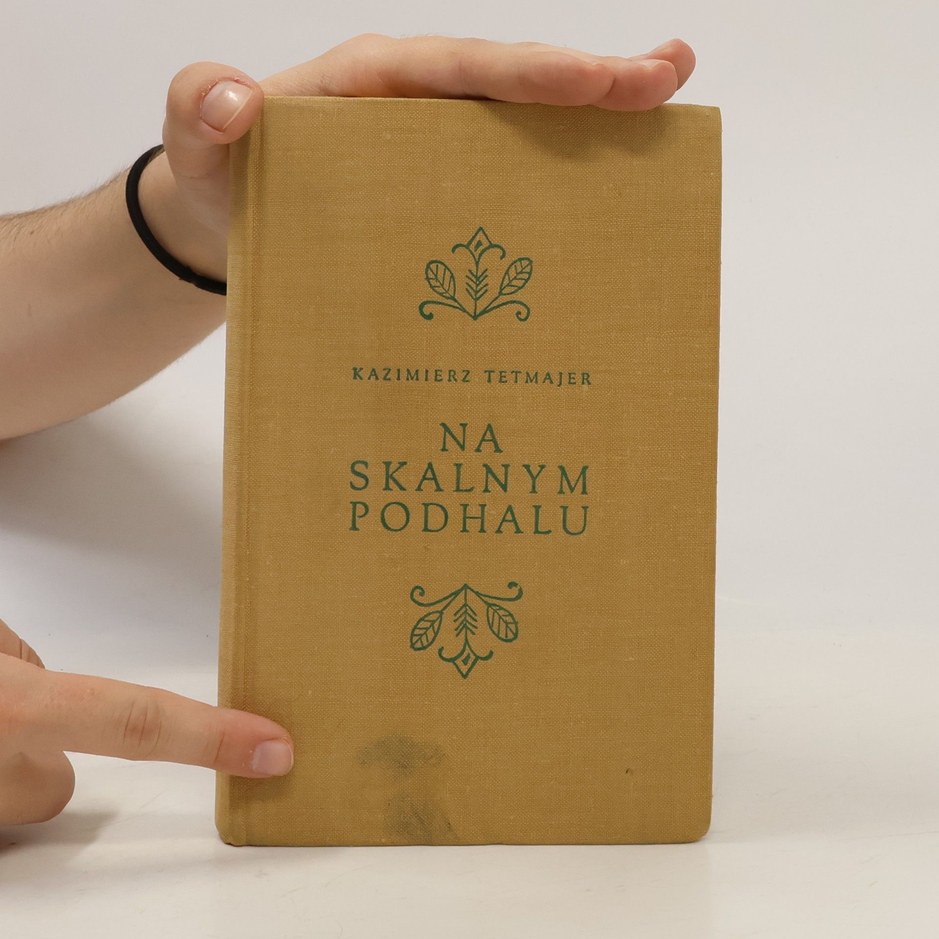 Kazimierz Przerwa-Tetmajer Na skalnym podhalu