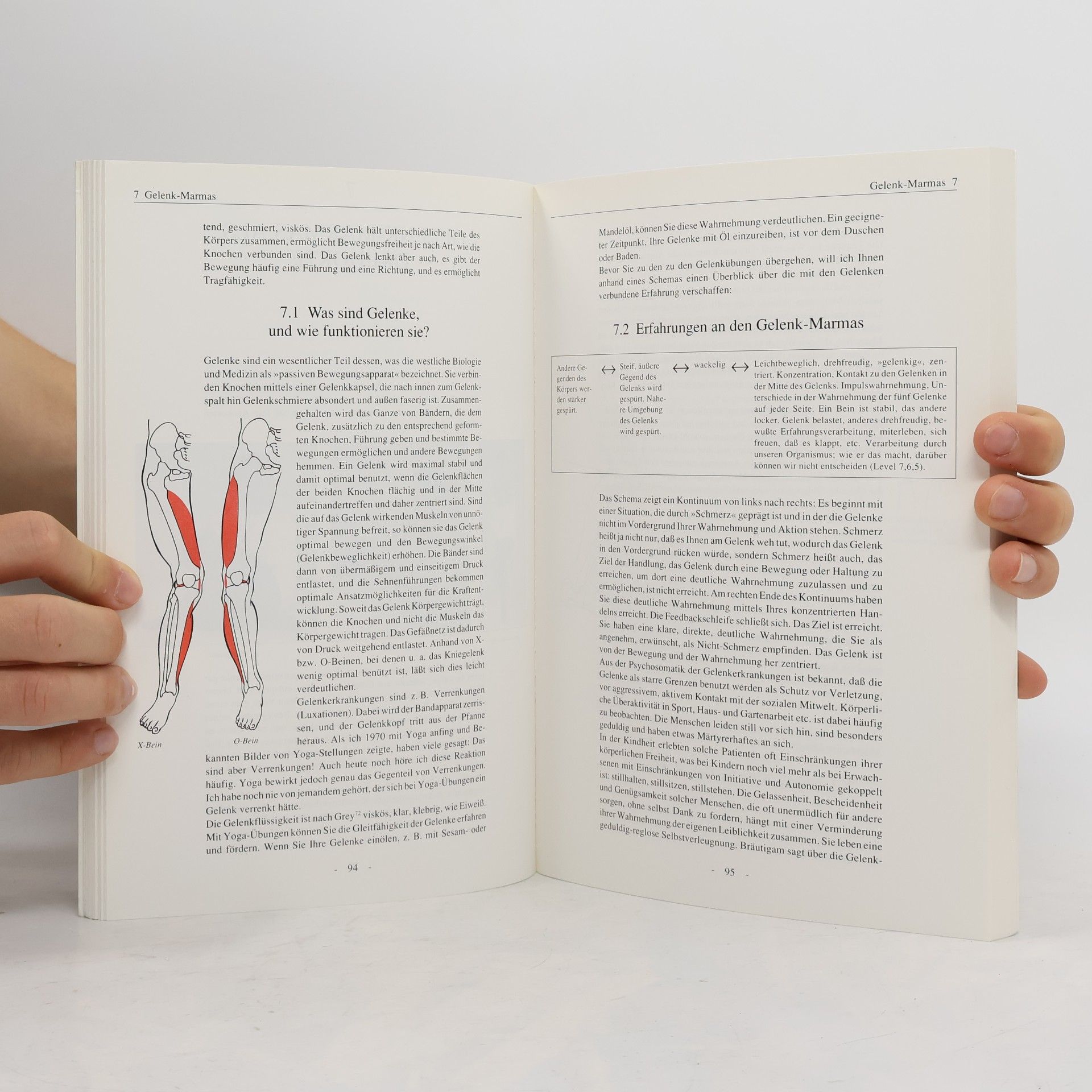 Reinhard Bögle Das grosse Yoga-Buch