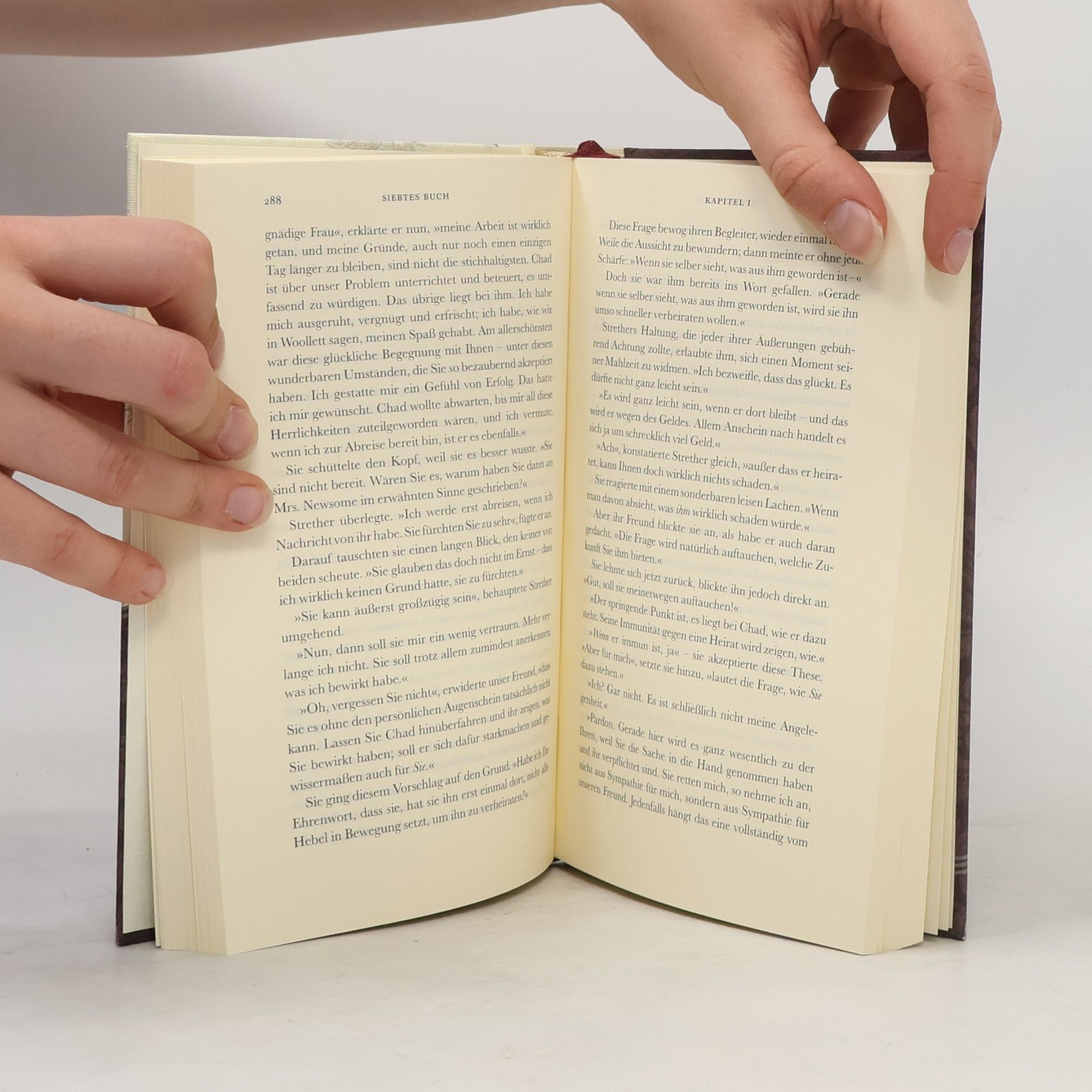 Henry James Die Gesandten