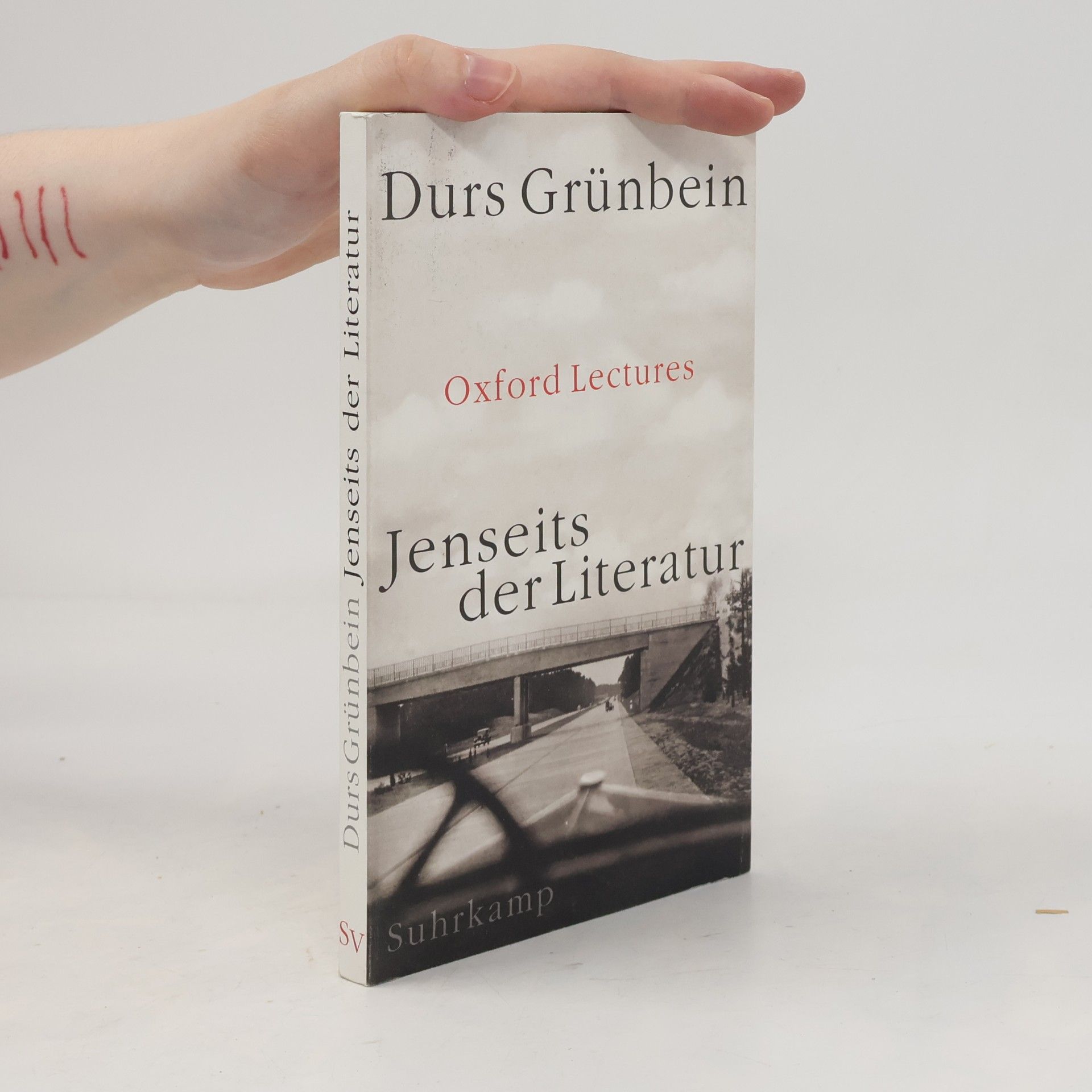 Jenseits der Literatur