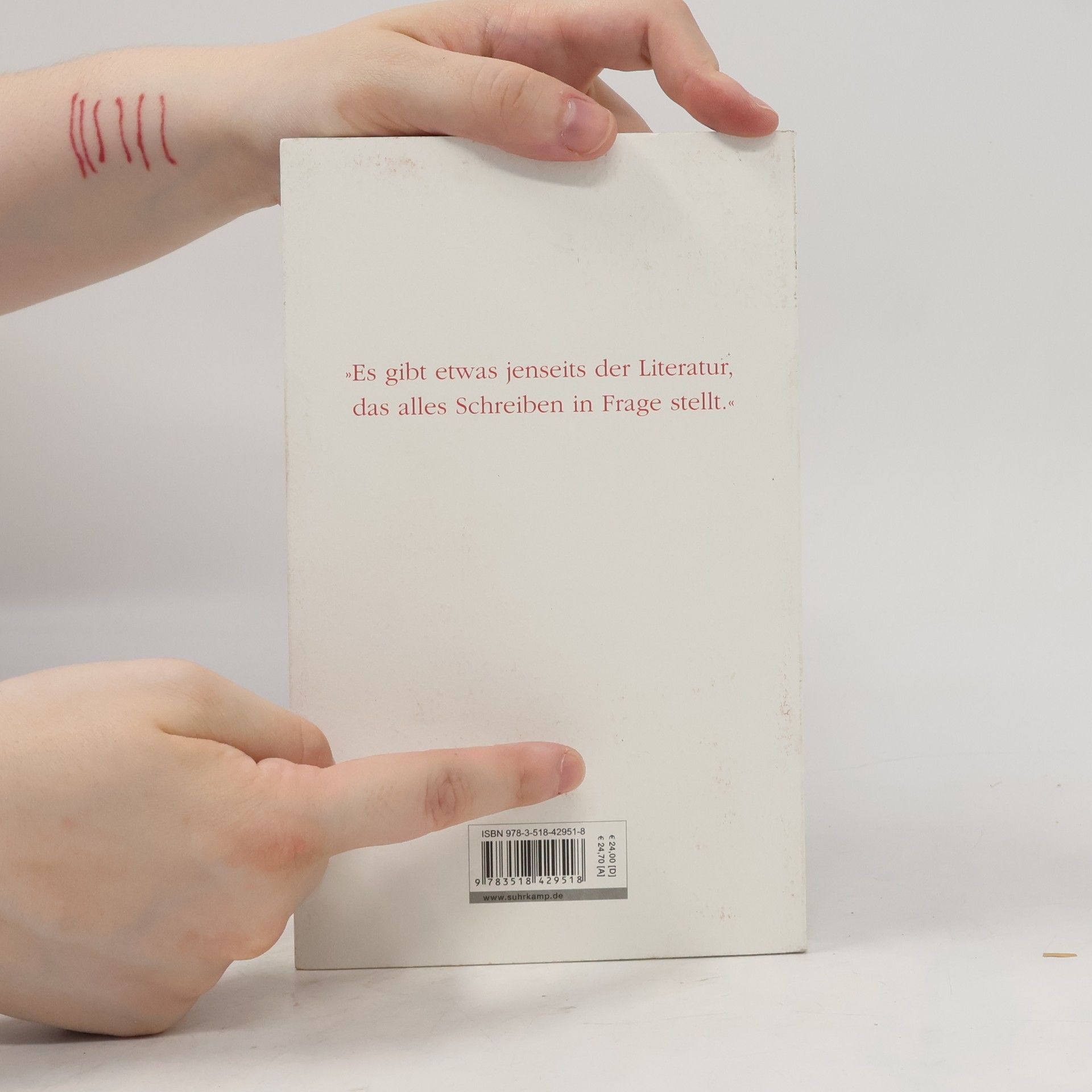 Durs Grünbein Jenseits der Literatur
