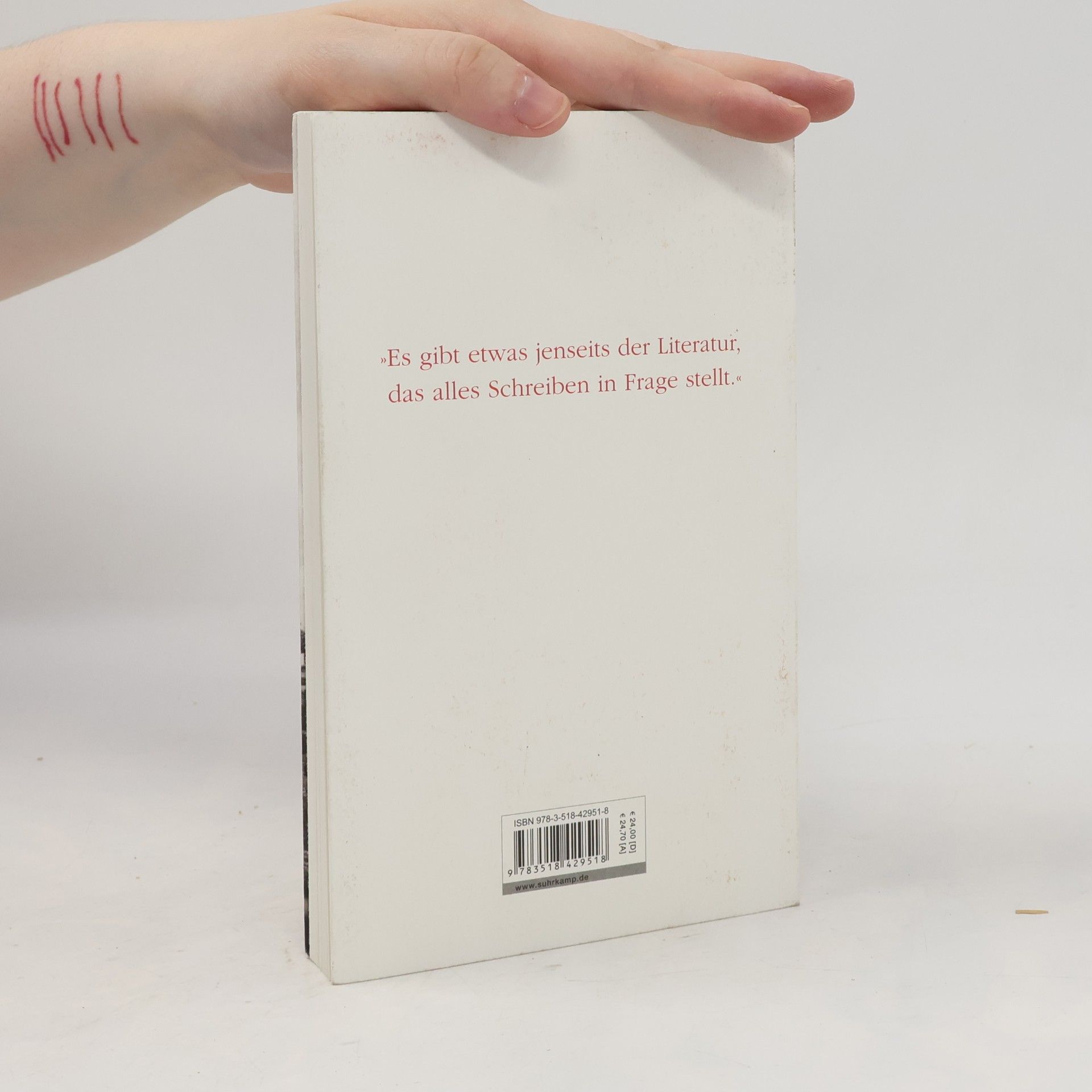 Durs Grünbein Jenseits der Literatur