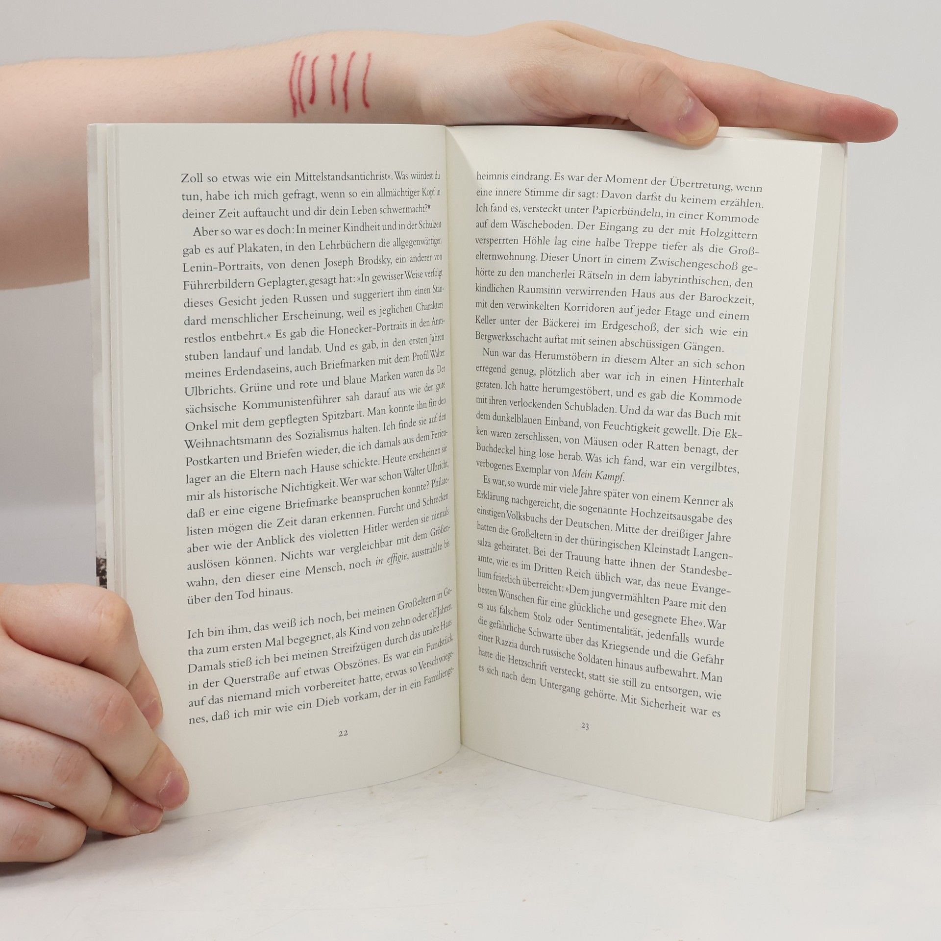 Durs Grünbein Jenseits der Literatur