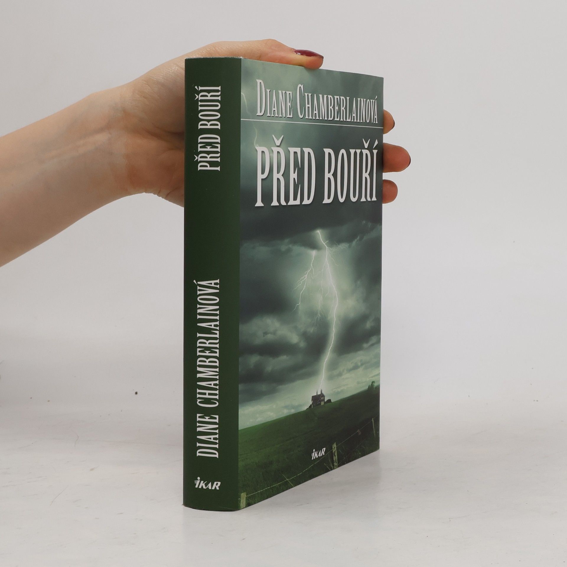 Diane Chamberlain Před bouří