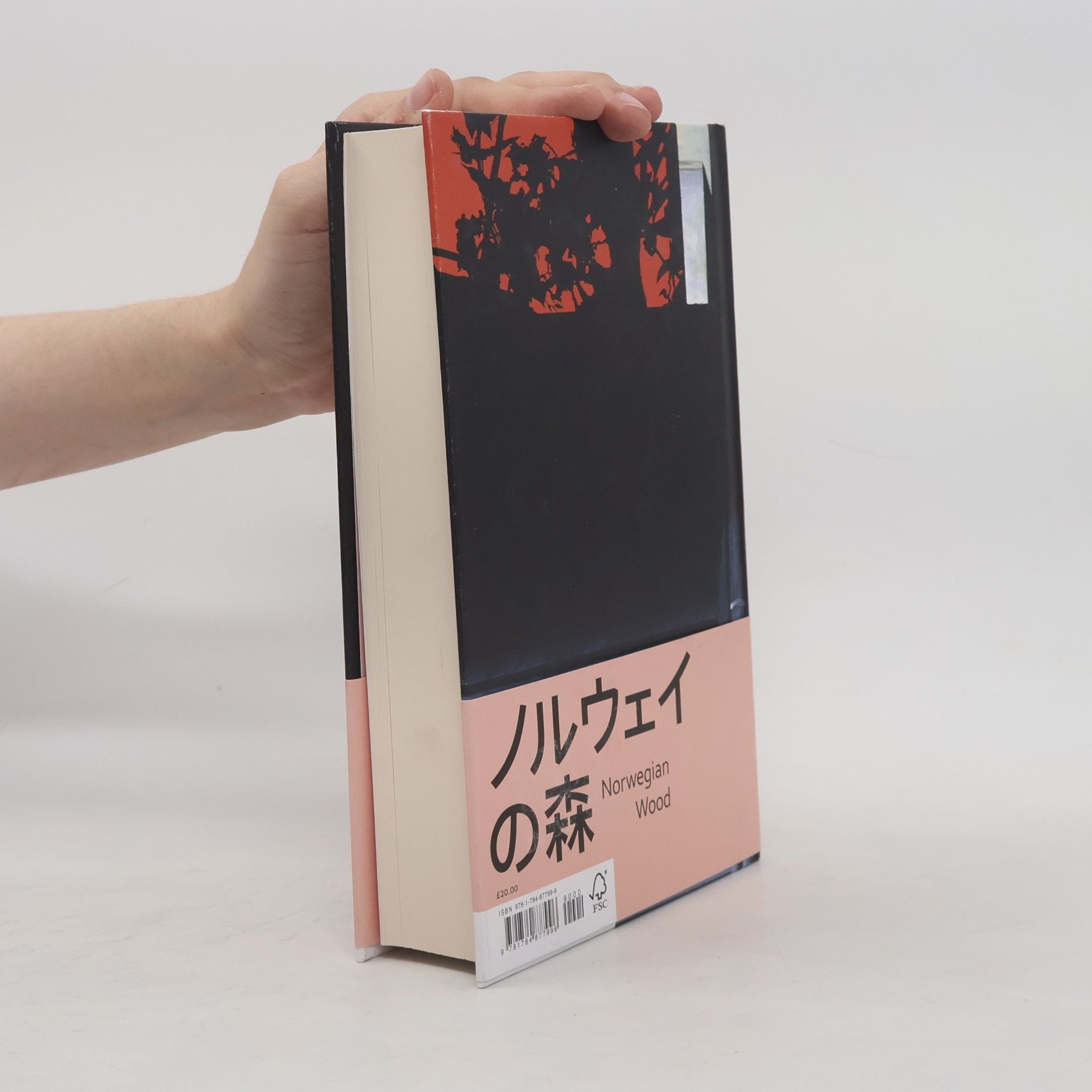 Haruki Murakami Norwegian Wood