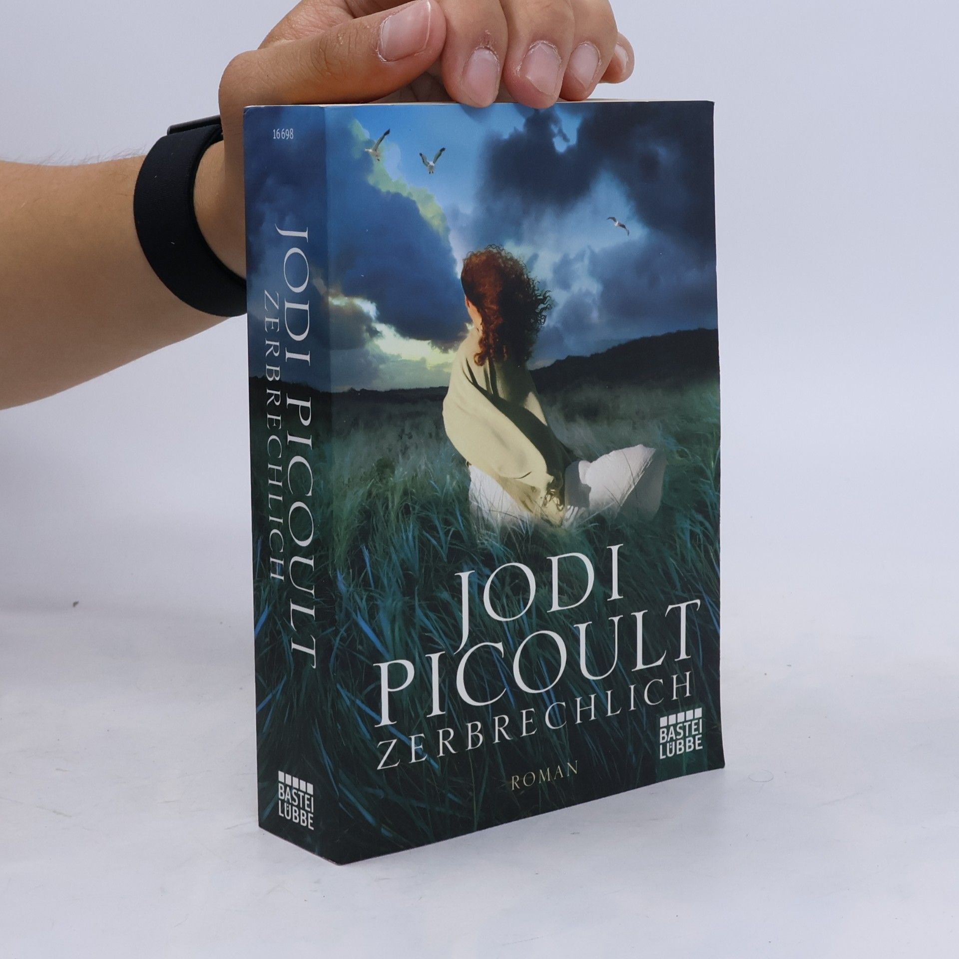 Jodi Picoult Zerbrechlich