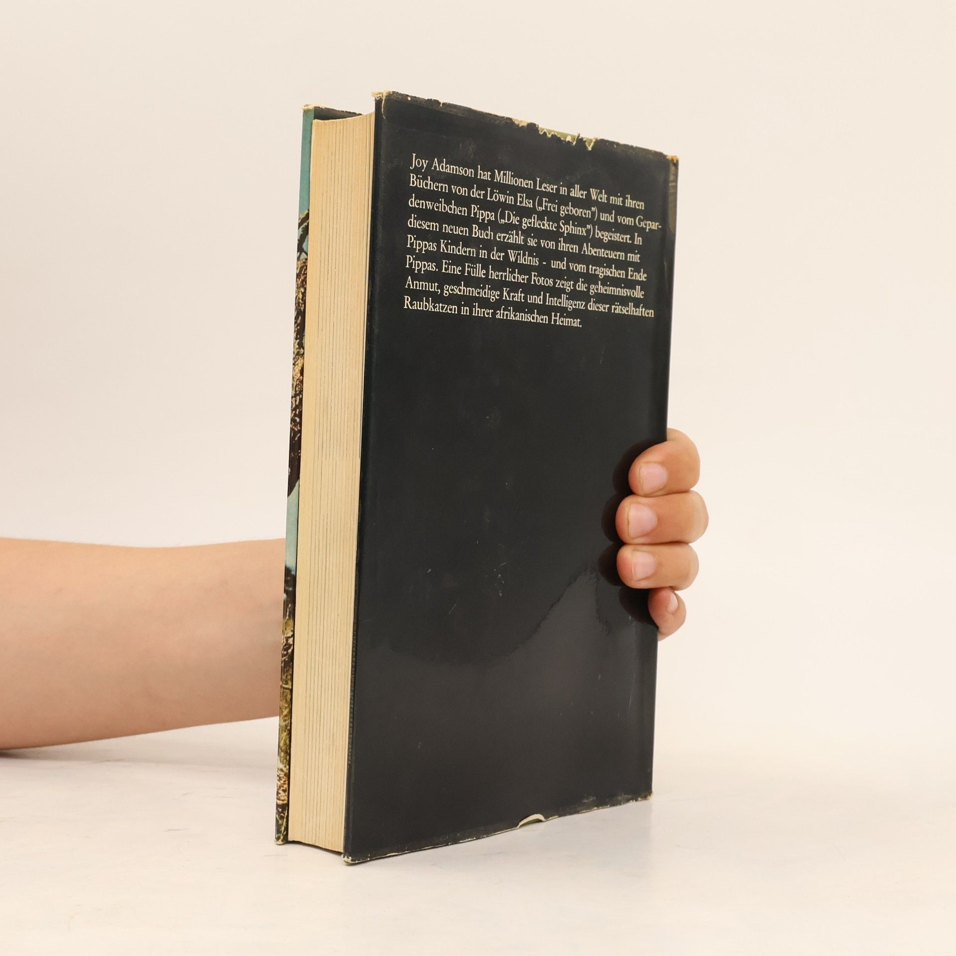 Joy Adamson Abschied von Pippa
