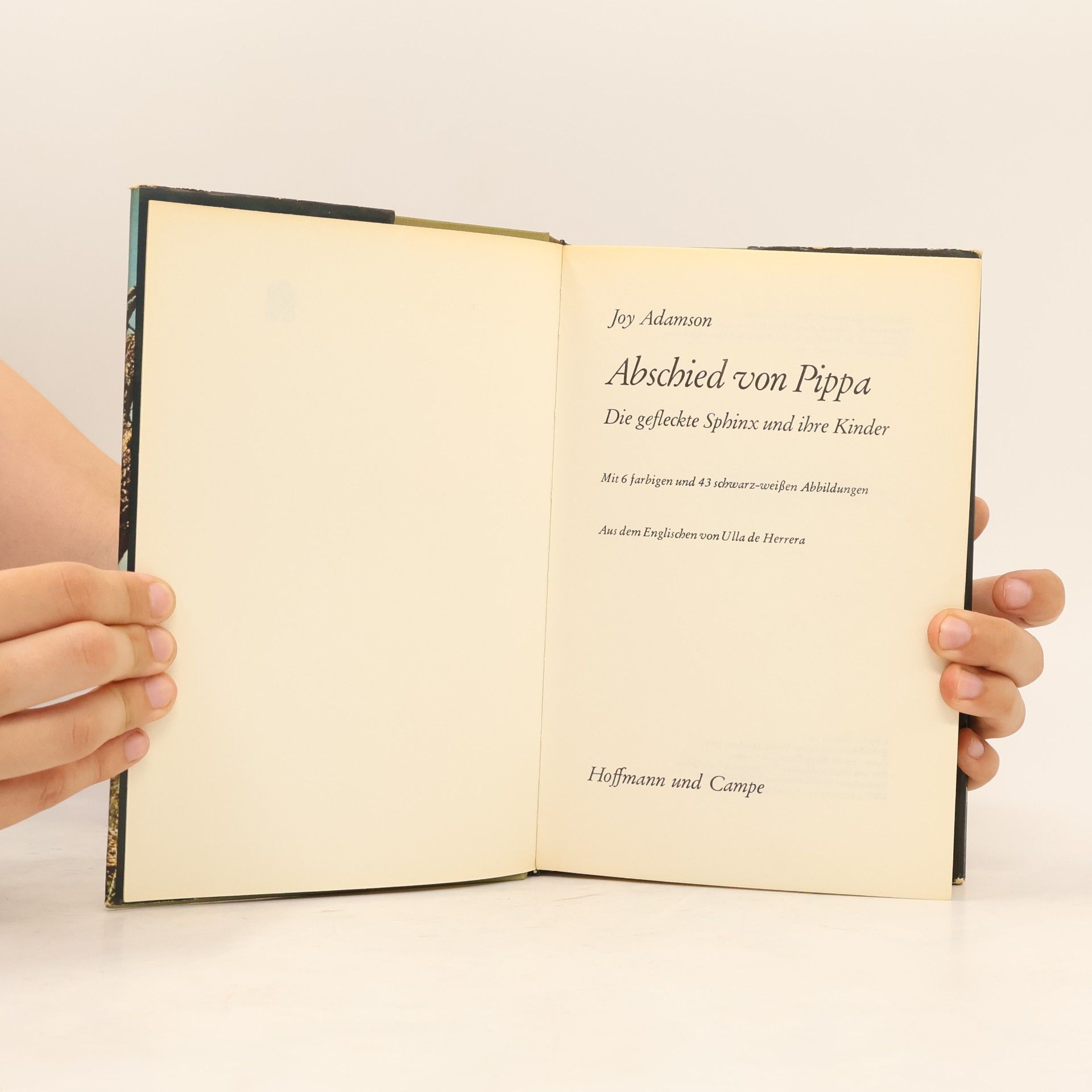 Joy Adamson Abschied von Pippa