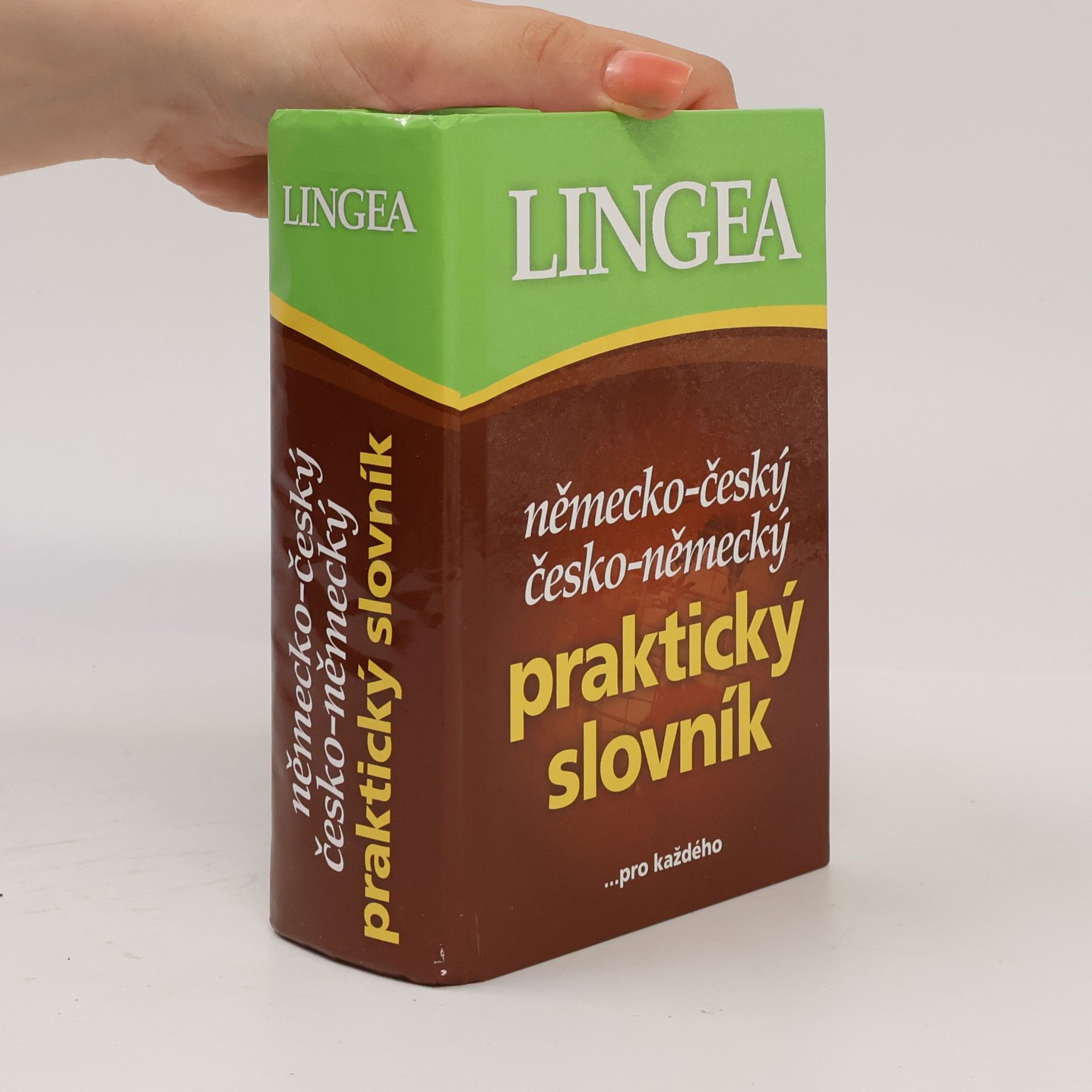 Autorenkollektiv Německo-český, česko-německý praktický slovník