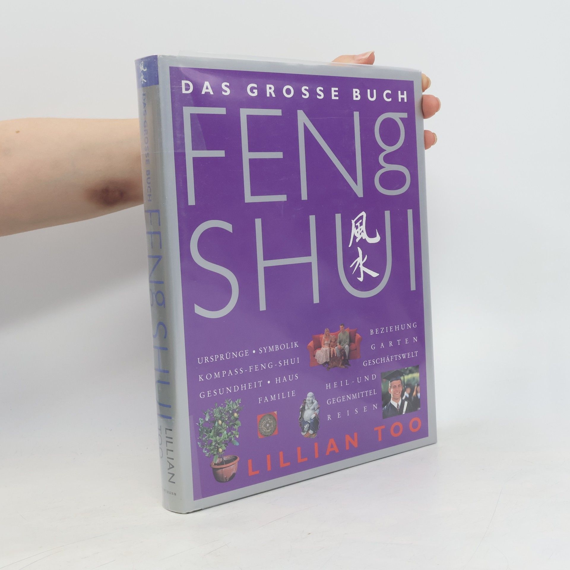 Lillian Too Das grosse Buch Feng Shui