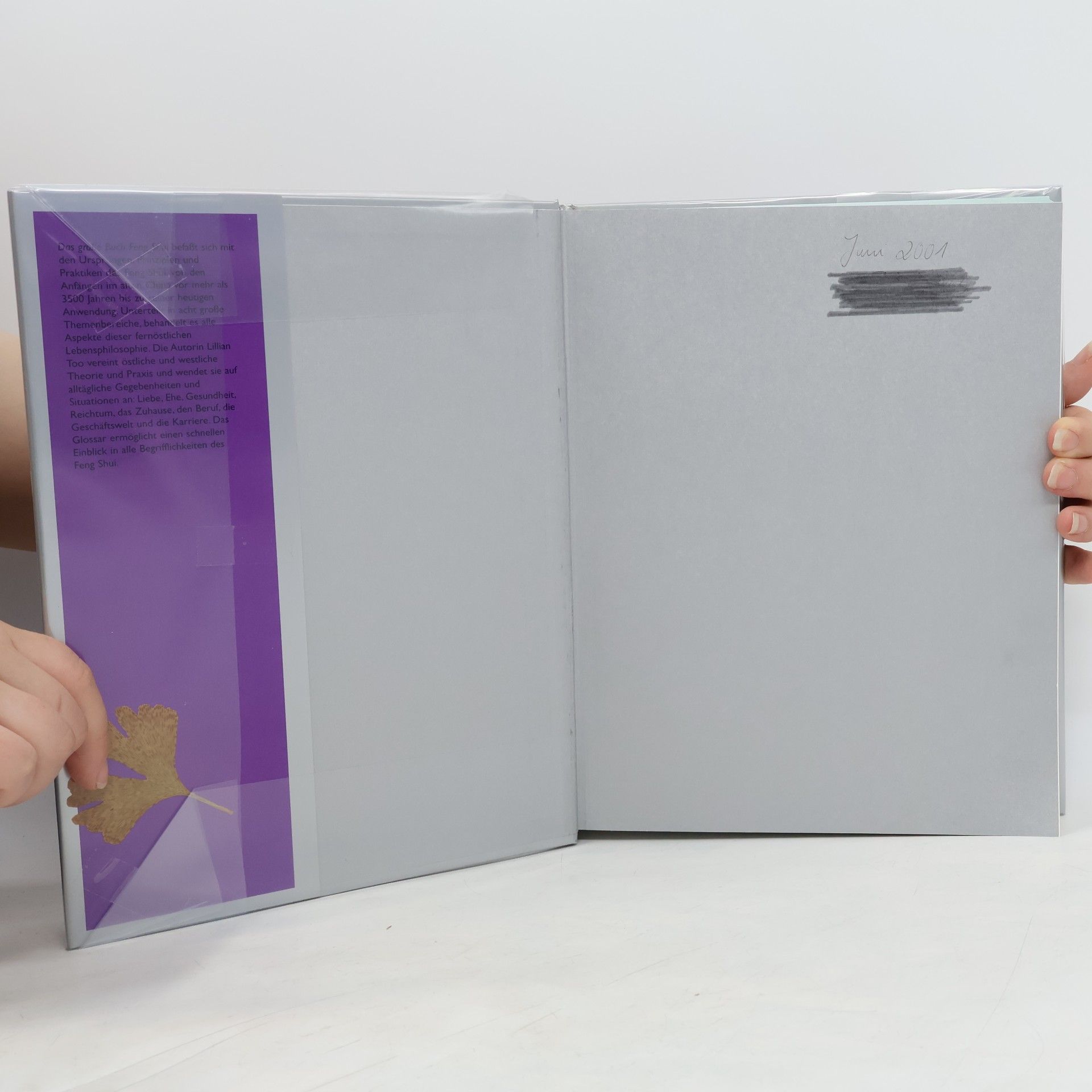 Lillian Too Das grosse Buch Feng Shui