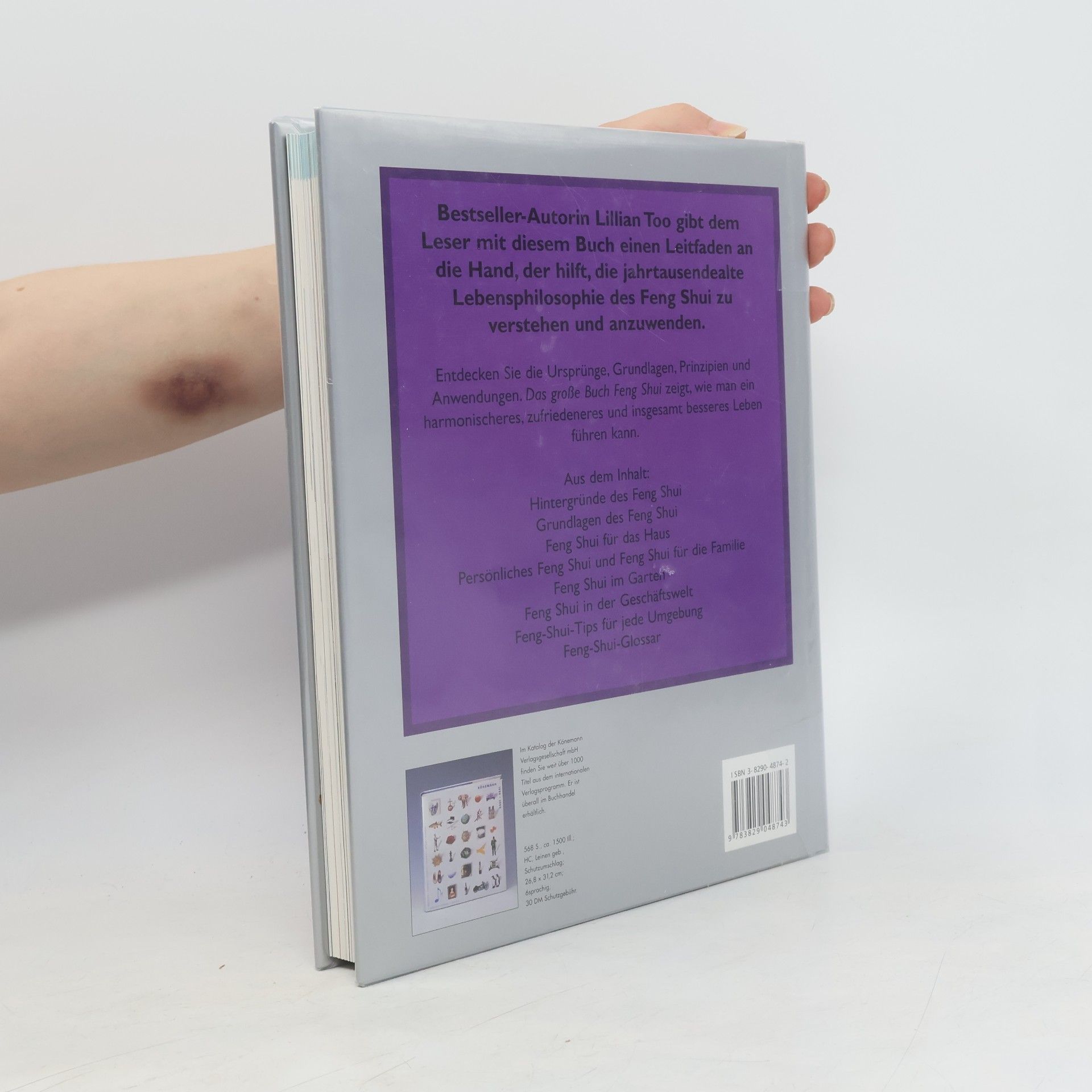 Lillian Too Das grosse Buch Feng Shui