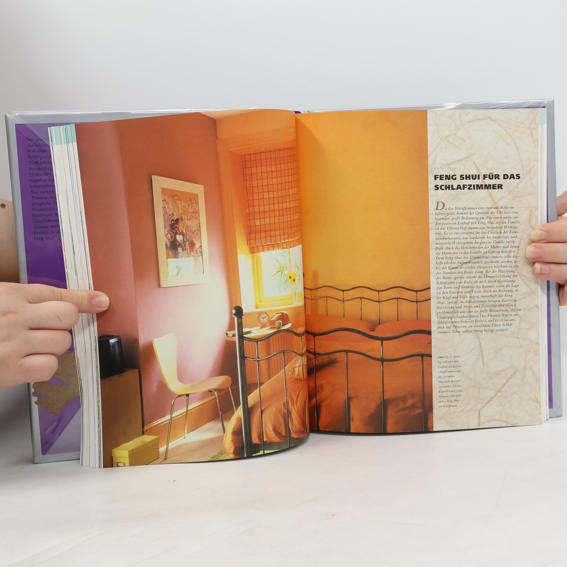 Lillian Too Das grosse Buch Feng Shui