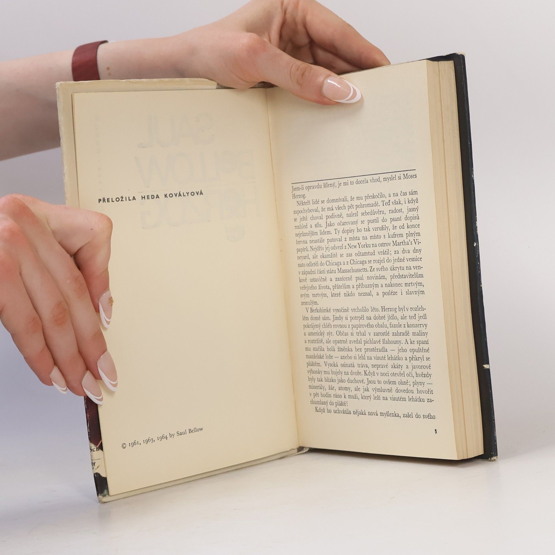 Saul Bellow Herzog