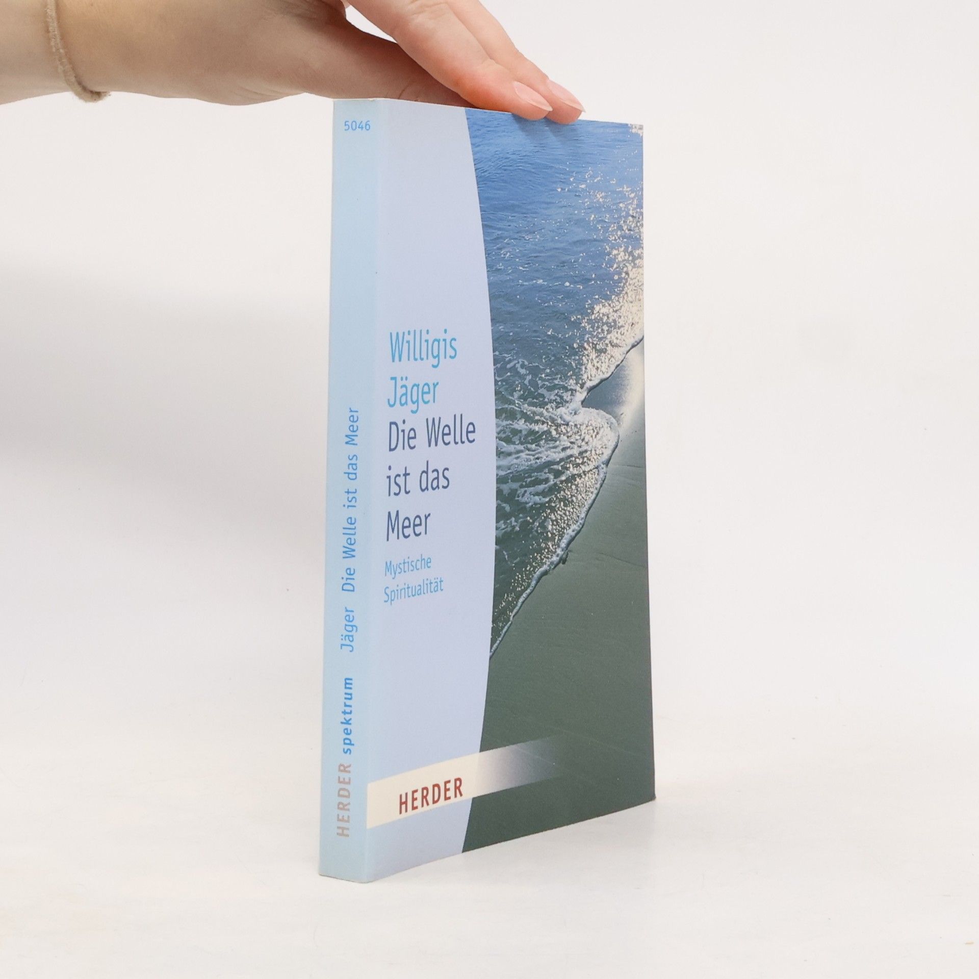 Willigis Jäger Die Welle ist das Meer